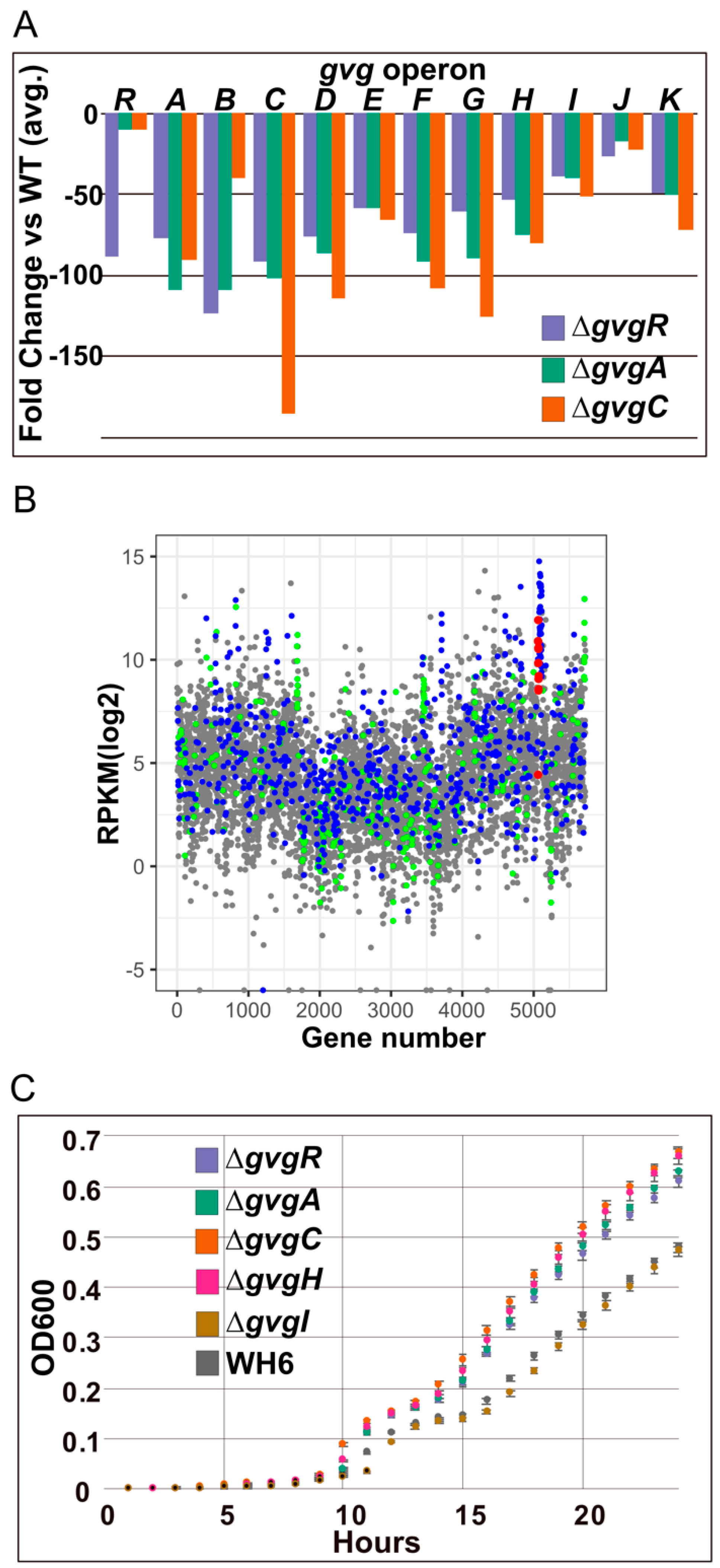 Microorganisms 09 00717 g003