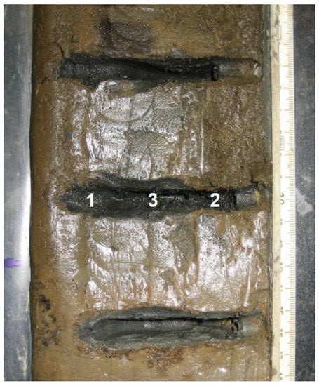 Microorganisms 09 00719 g0a1