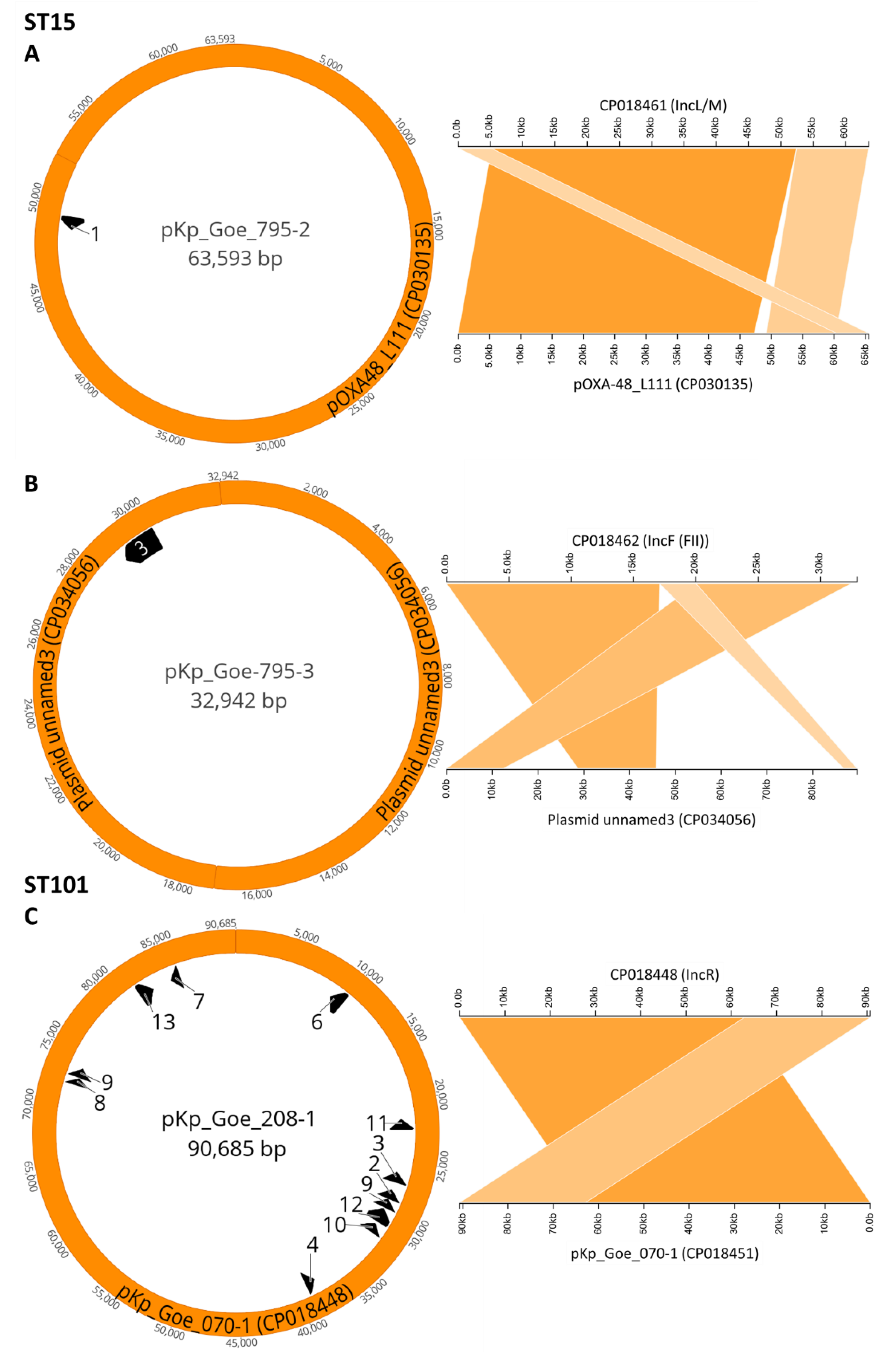 Microorganisms 09 00720 g001