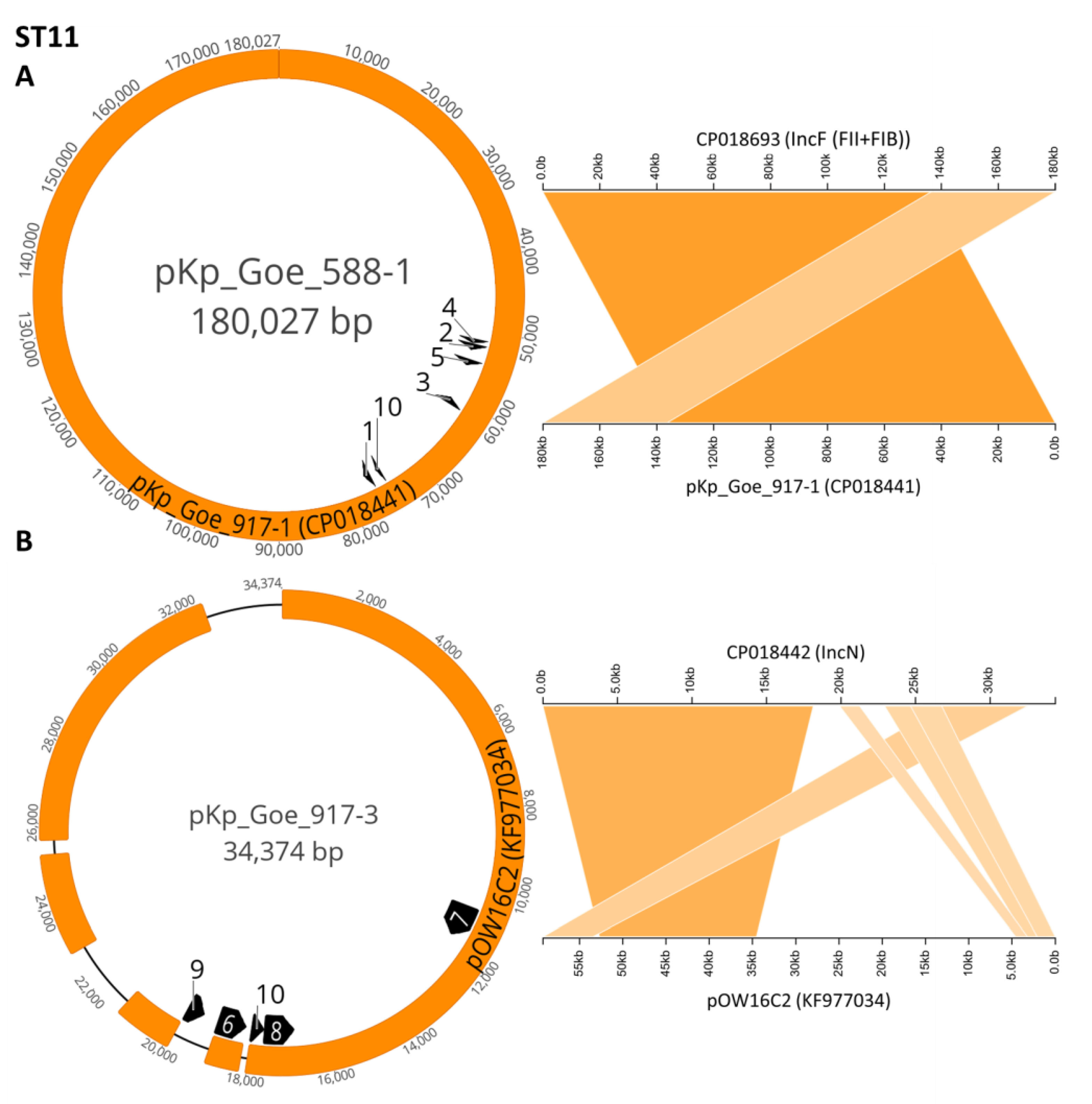 Microorganisms 09 00720 g002