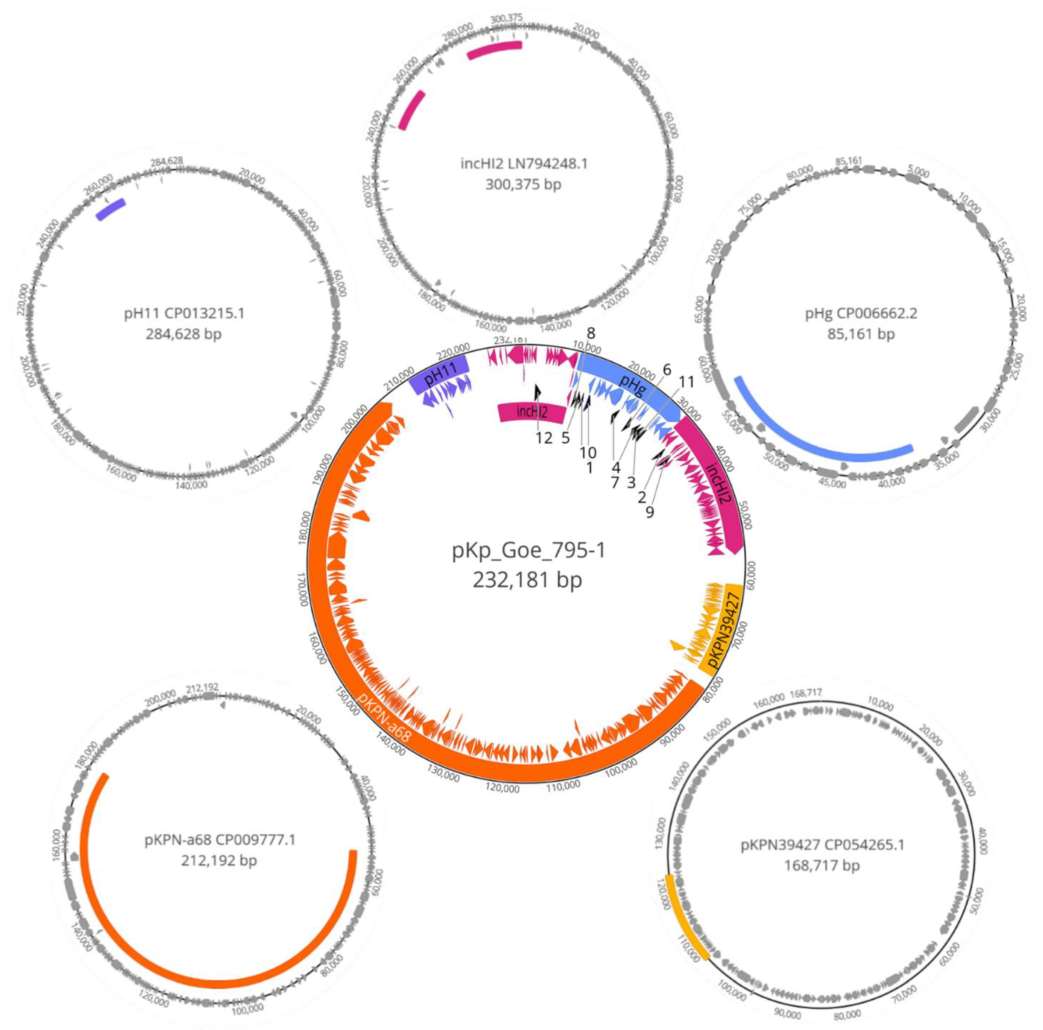 Microorganisms 09 00720 g003