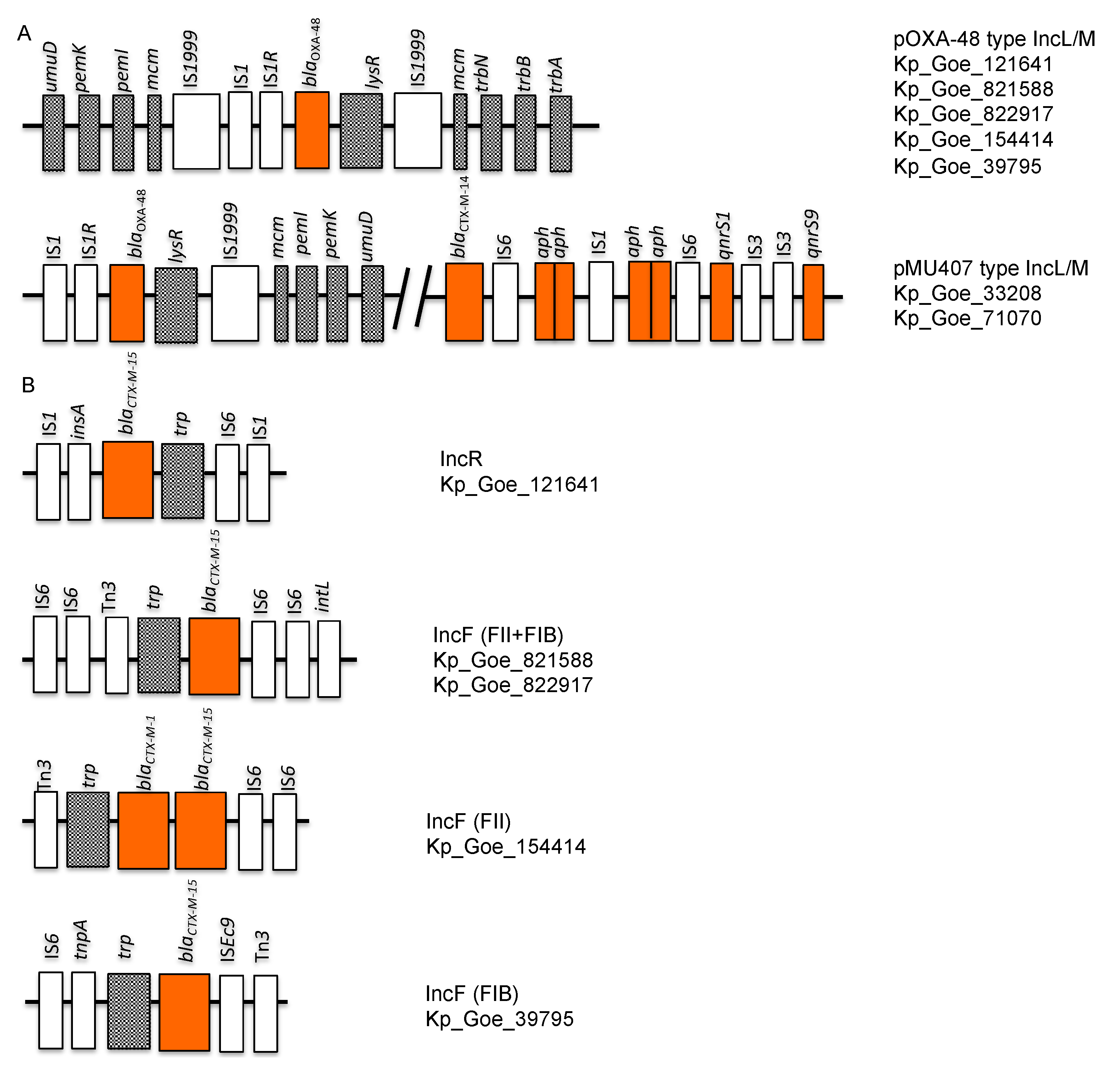 Microorganisms 09 00720 g004