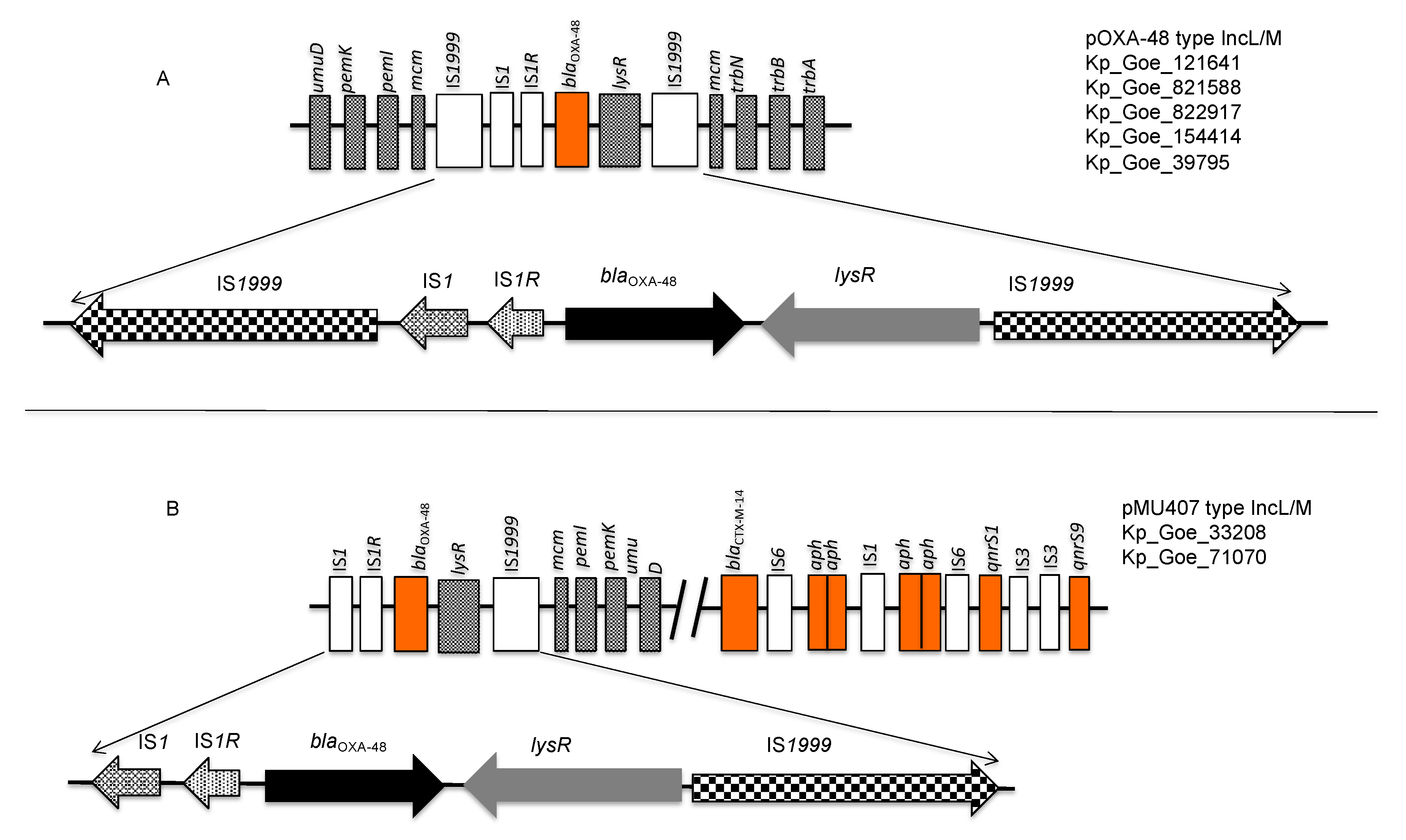 Microorganisms 09 00720 g005