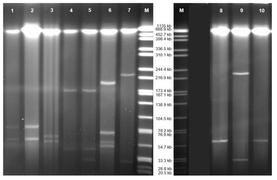 Microorganisms 09 00720 g0a1