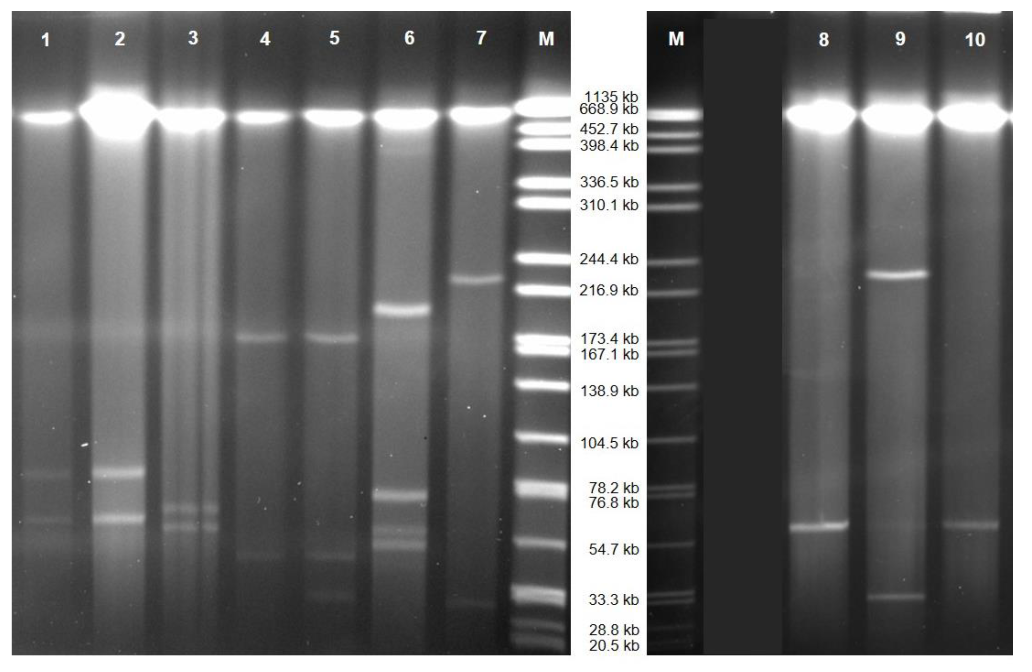 Microorganisms 09 00720 g0a1