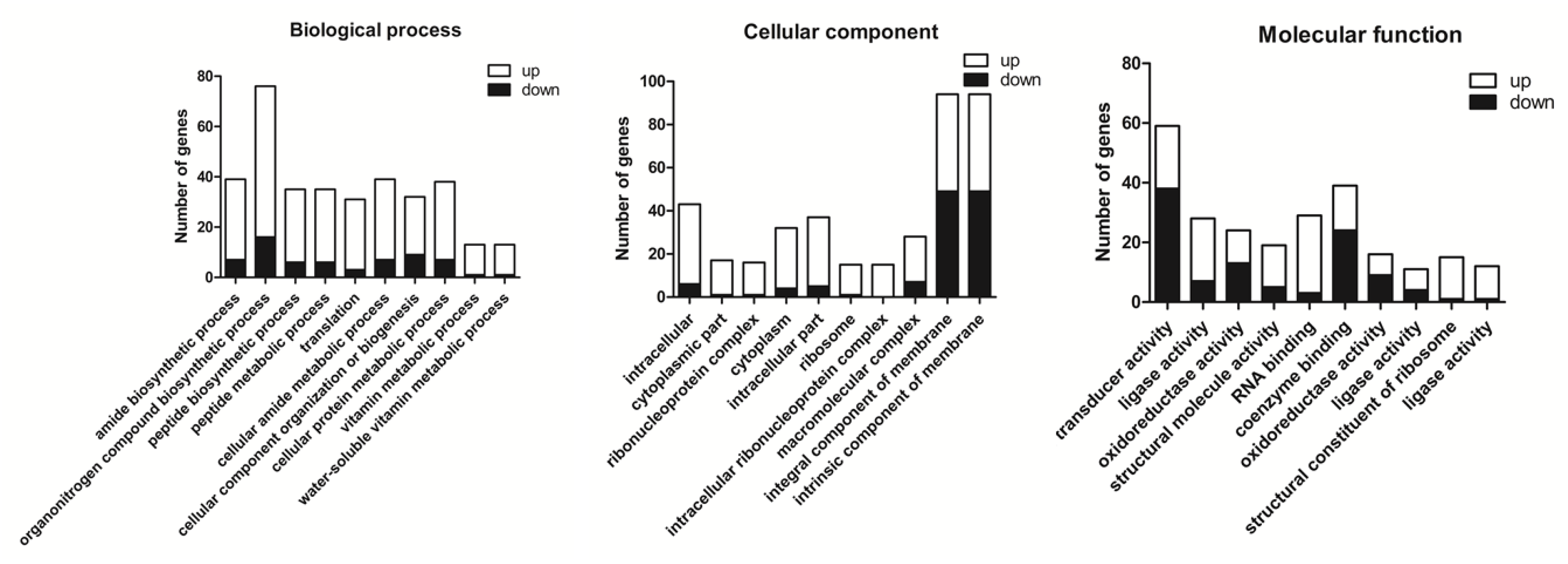 Microorganisms 09 00724 g008