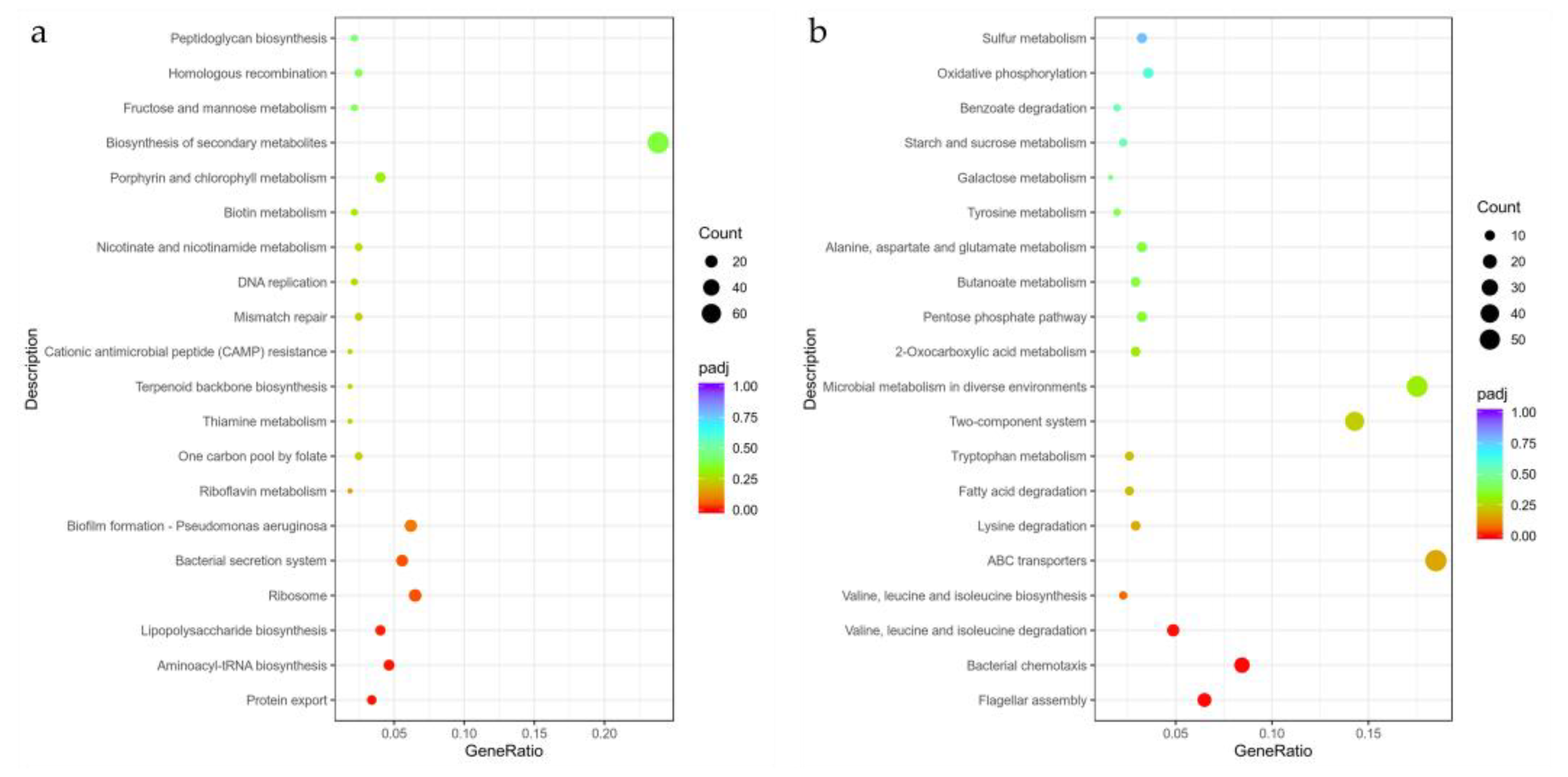 Microorganisms 09 00724 g009
