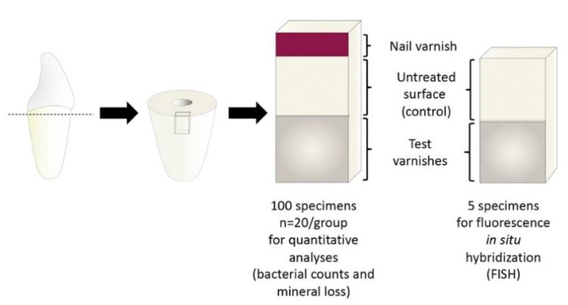 Microorganisms 09 00737 g001