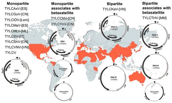 Microorganisms 09 00740 g002