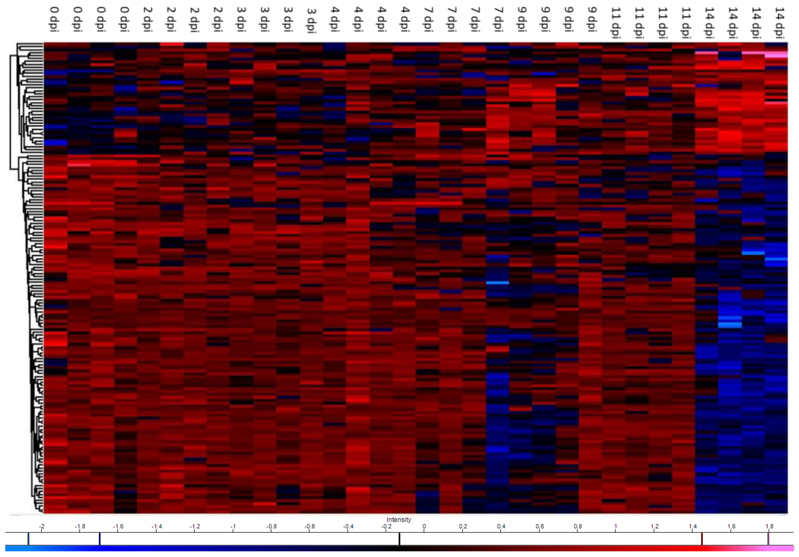 Microorganisms 09 00746 g002