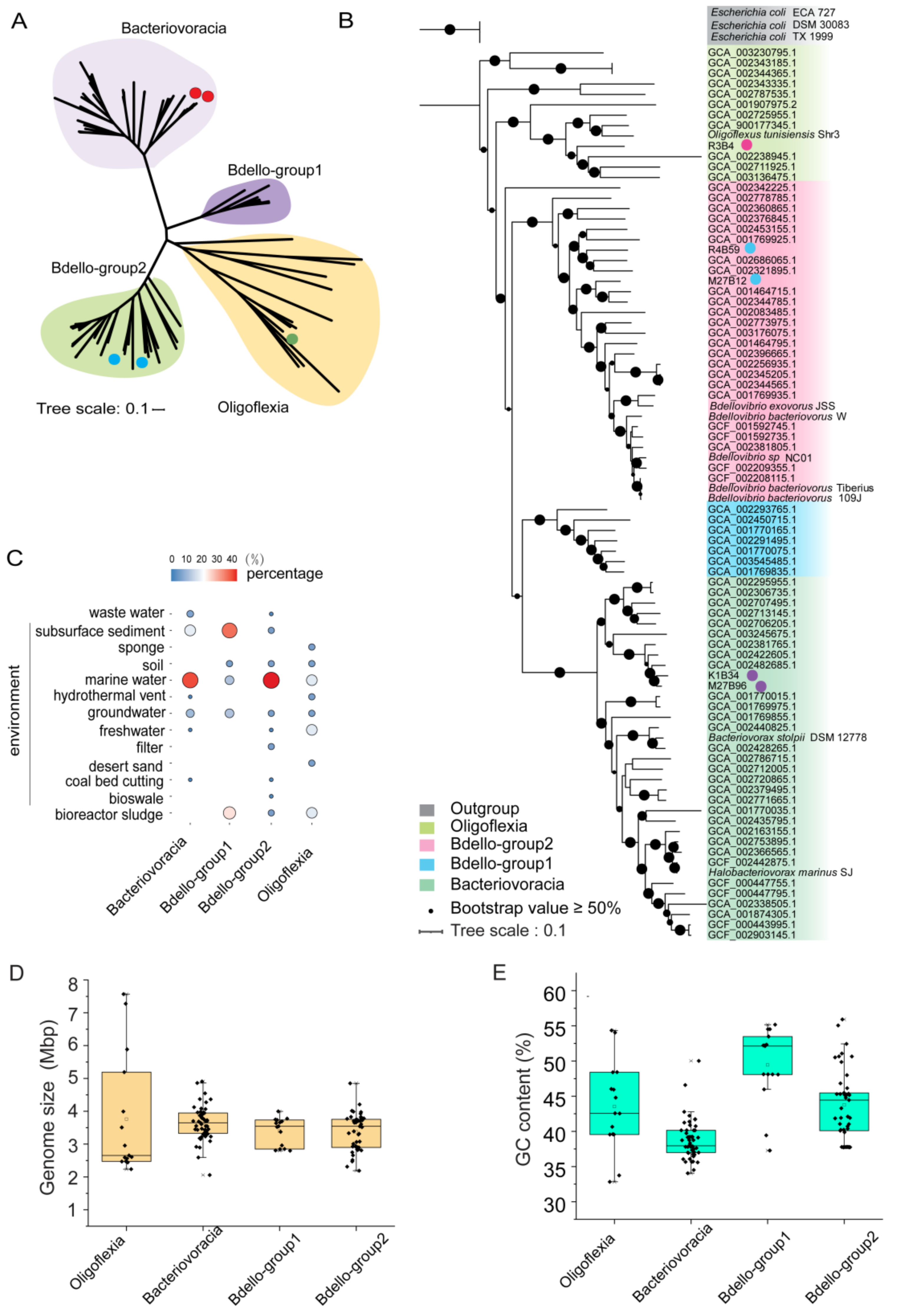 Microorganisms 09 00757 g001
