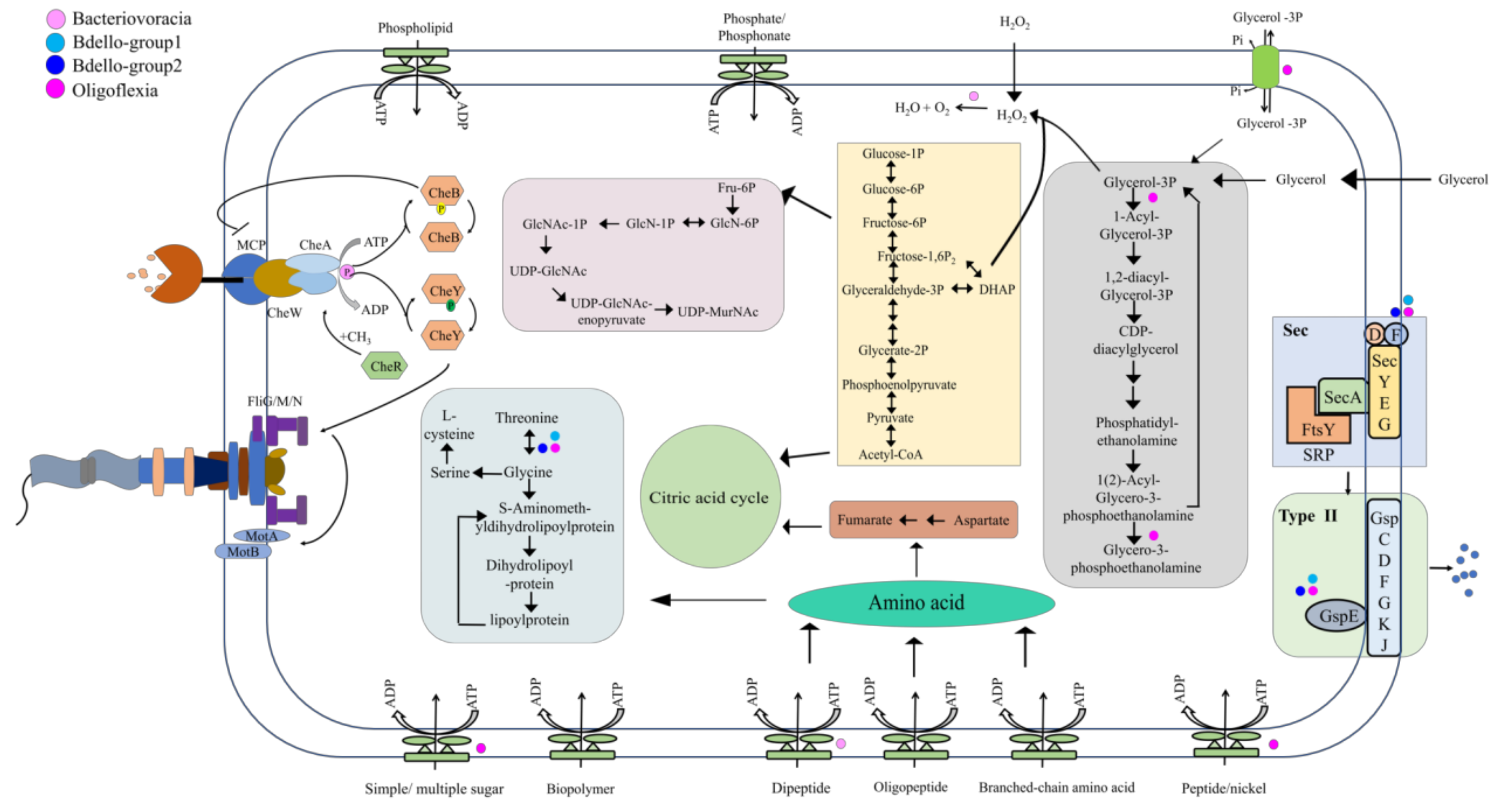 Microorganisms 09 00757 g004