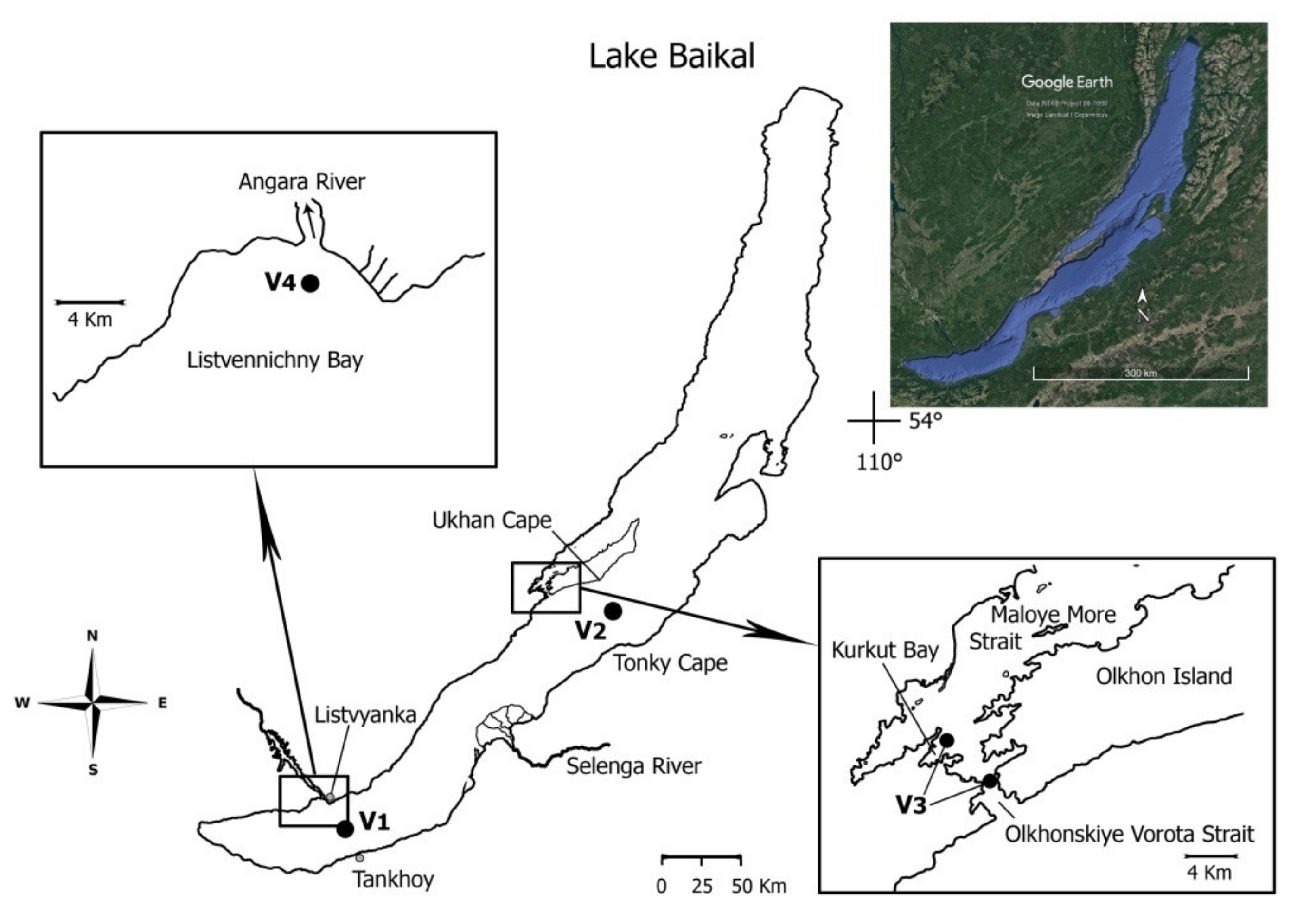 Microorganisms 09 00760 g001