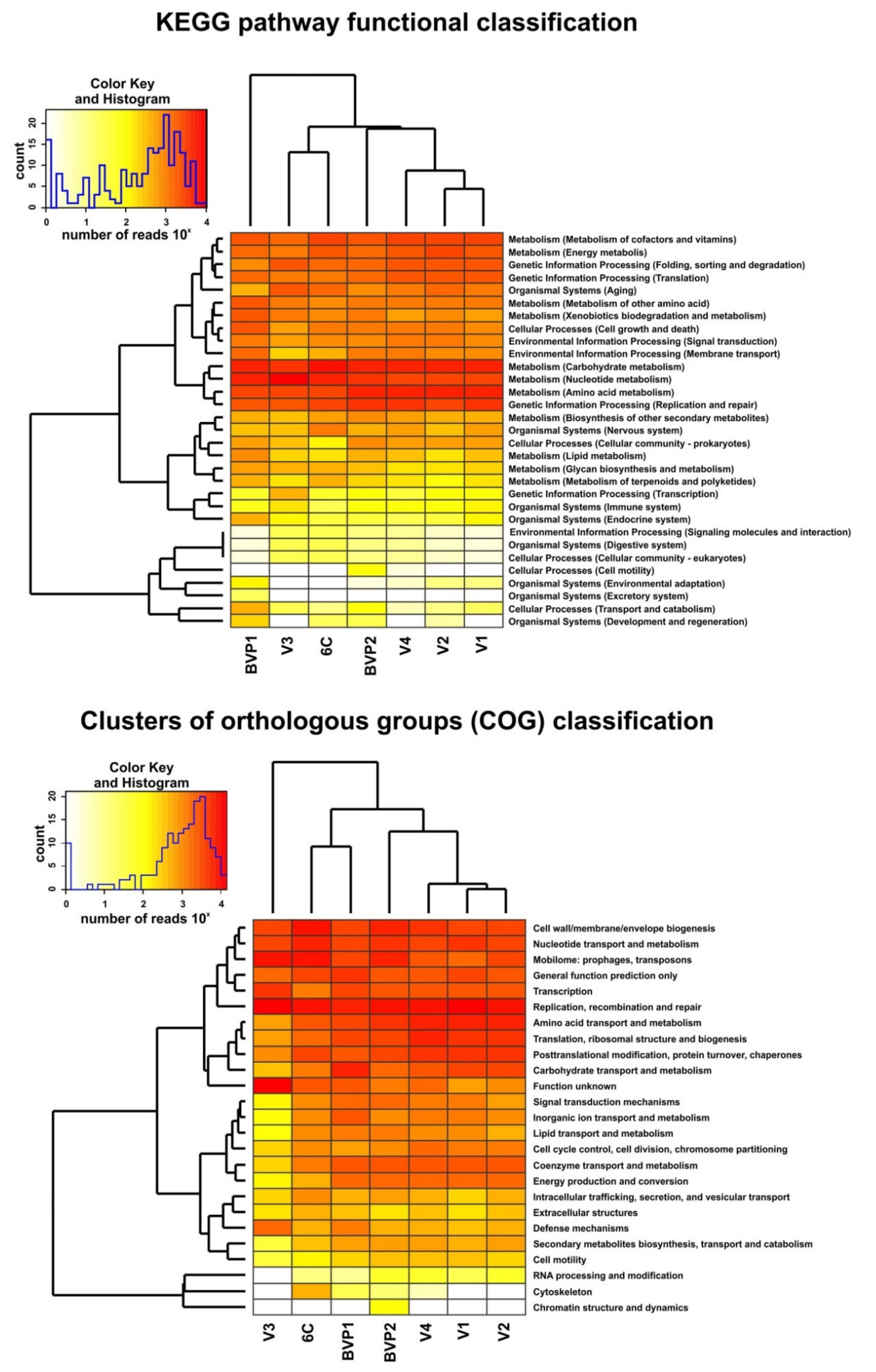 Microorganisms 09 00760 g003