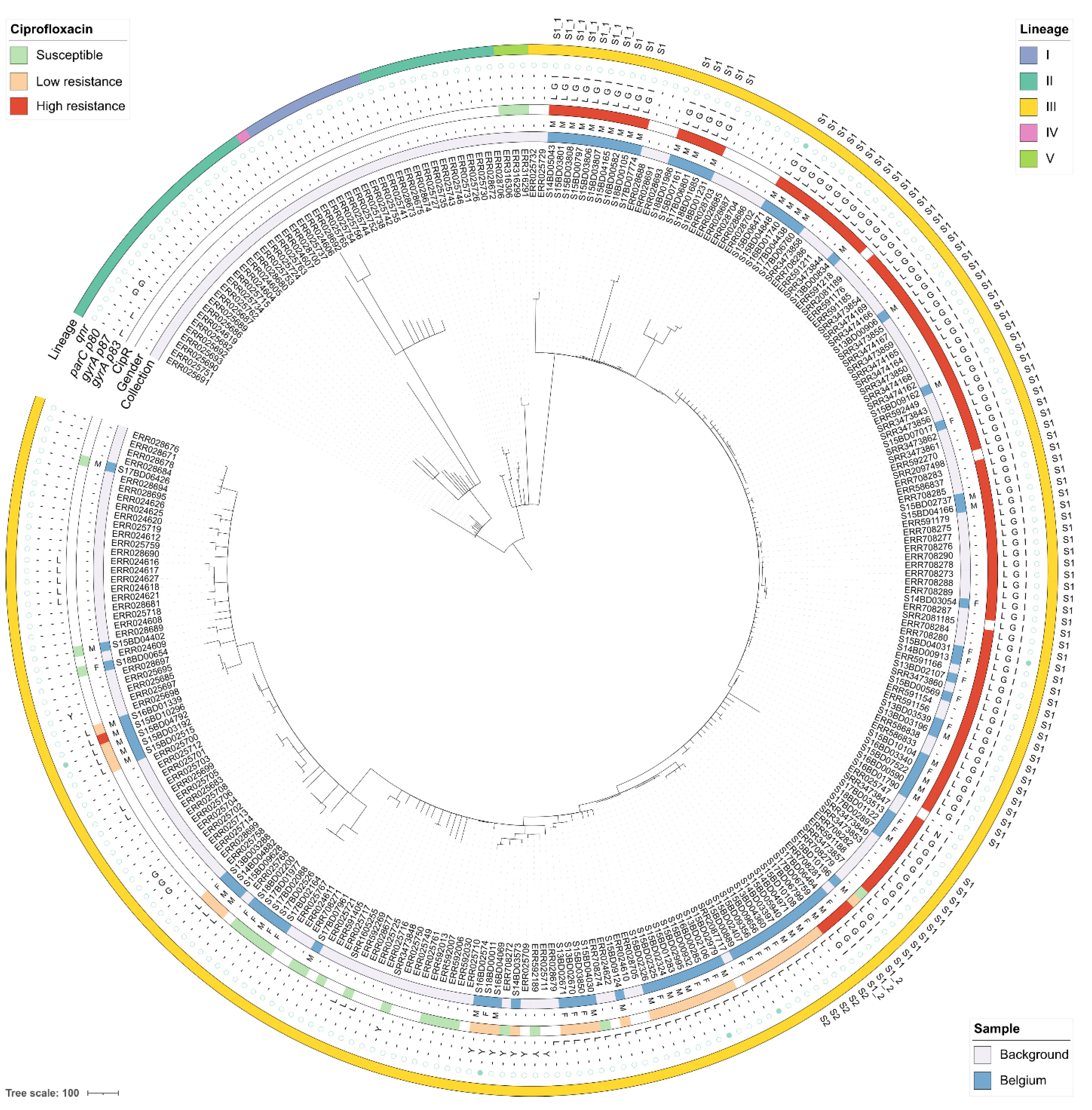 Microorganisms 09 00767 g004