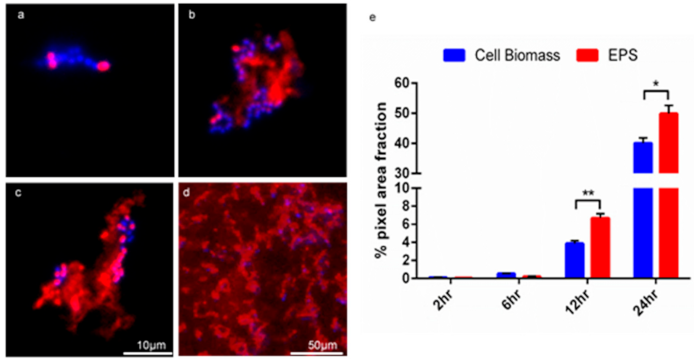 Microorganisms 09 00789 g003