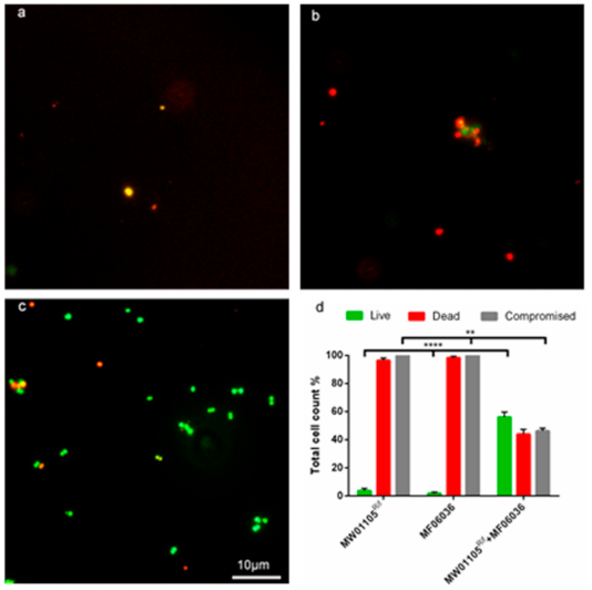 Microorganisms 09 00789 g005