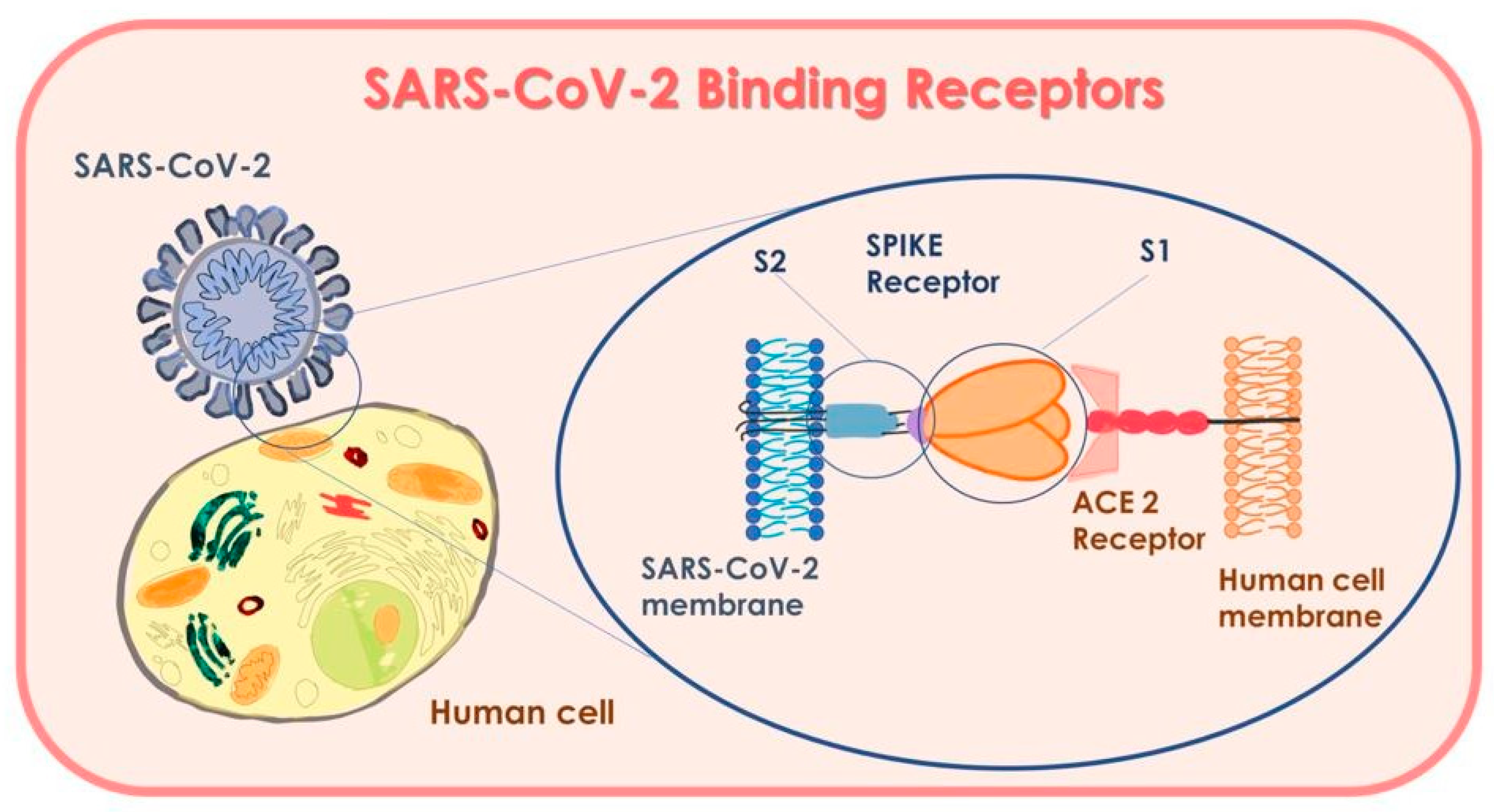 Microorganisms 09 00793 g004