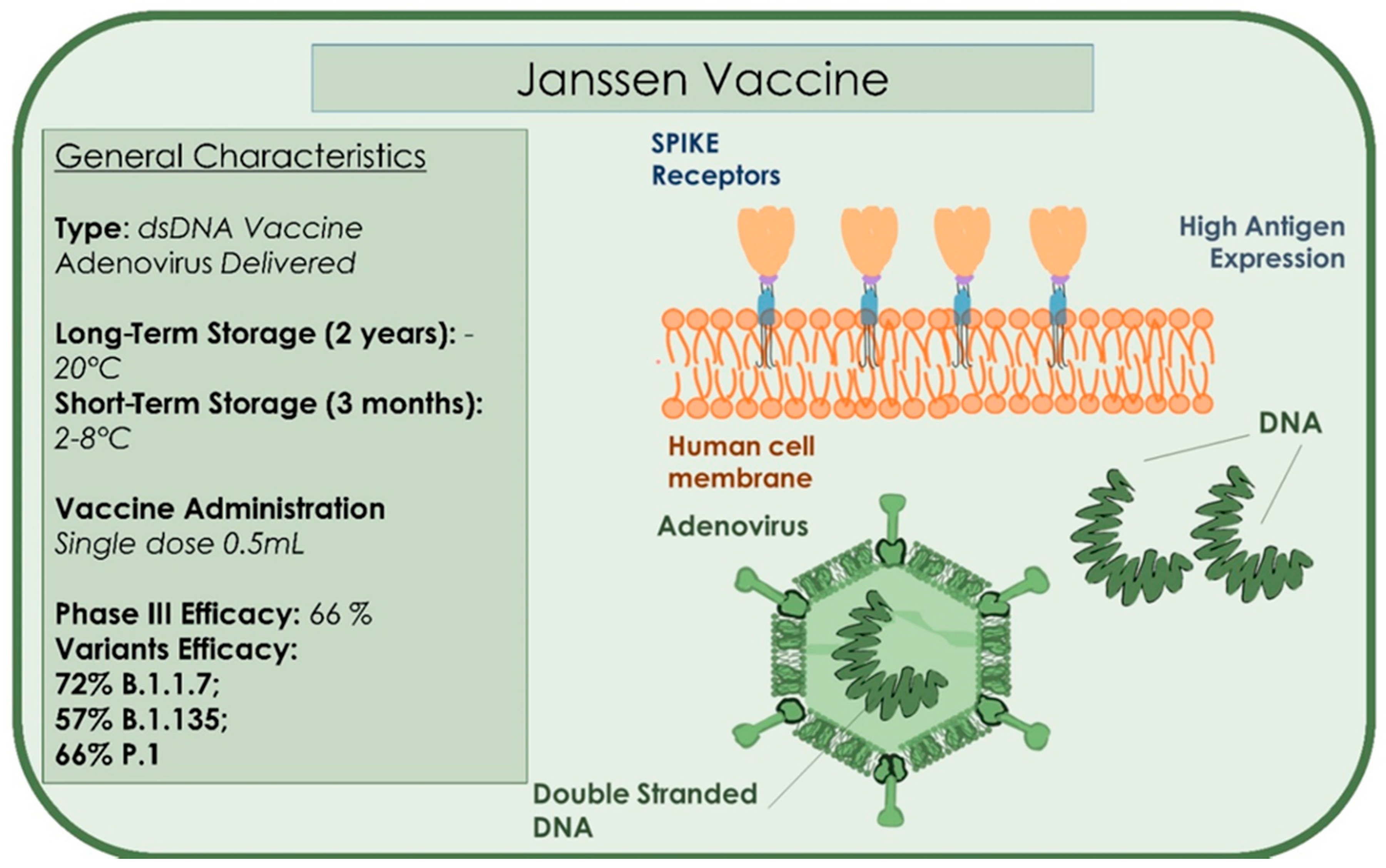 Microorganisms 09 00793 g008