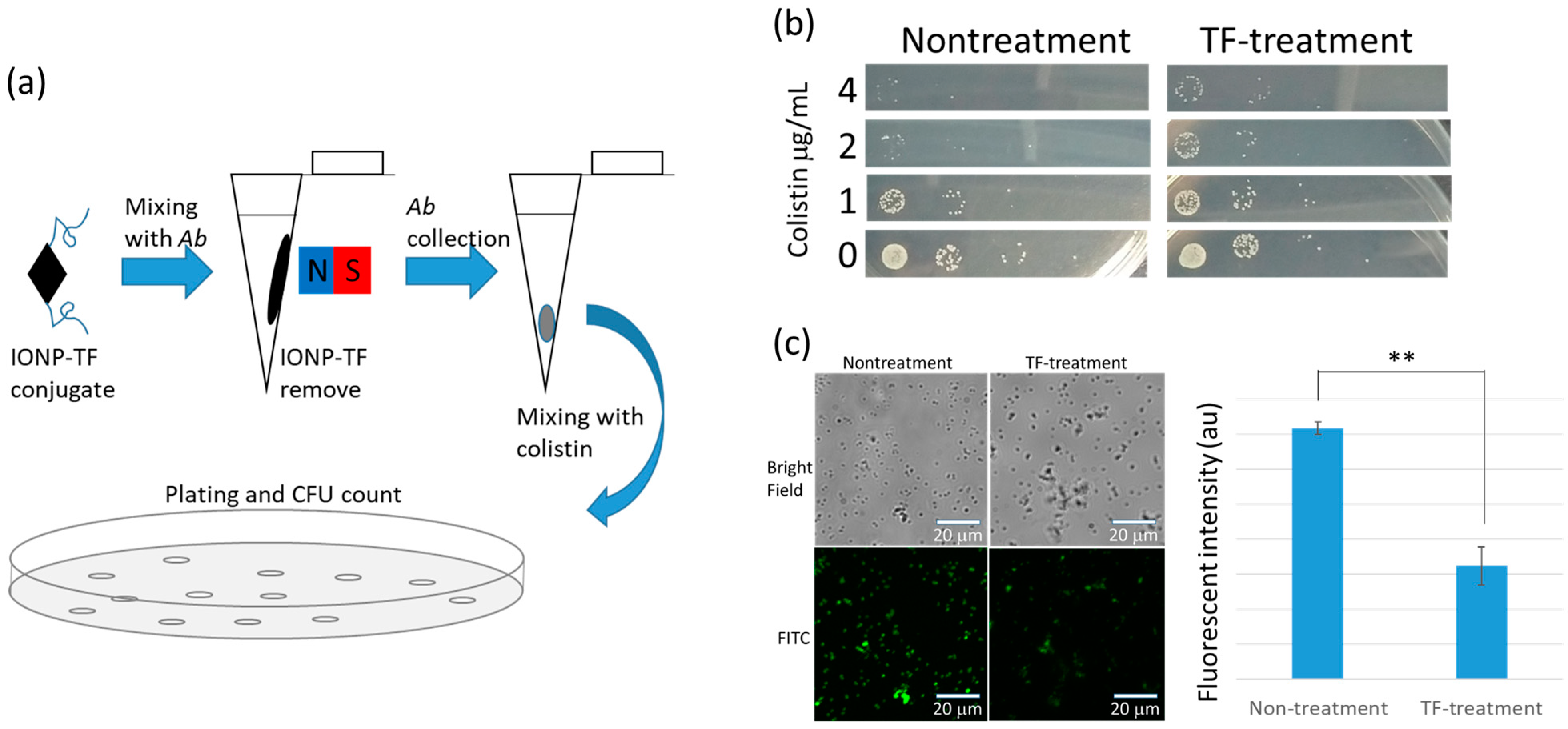 Microorganisms 09 00794 g003
