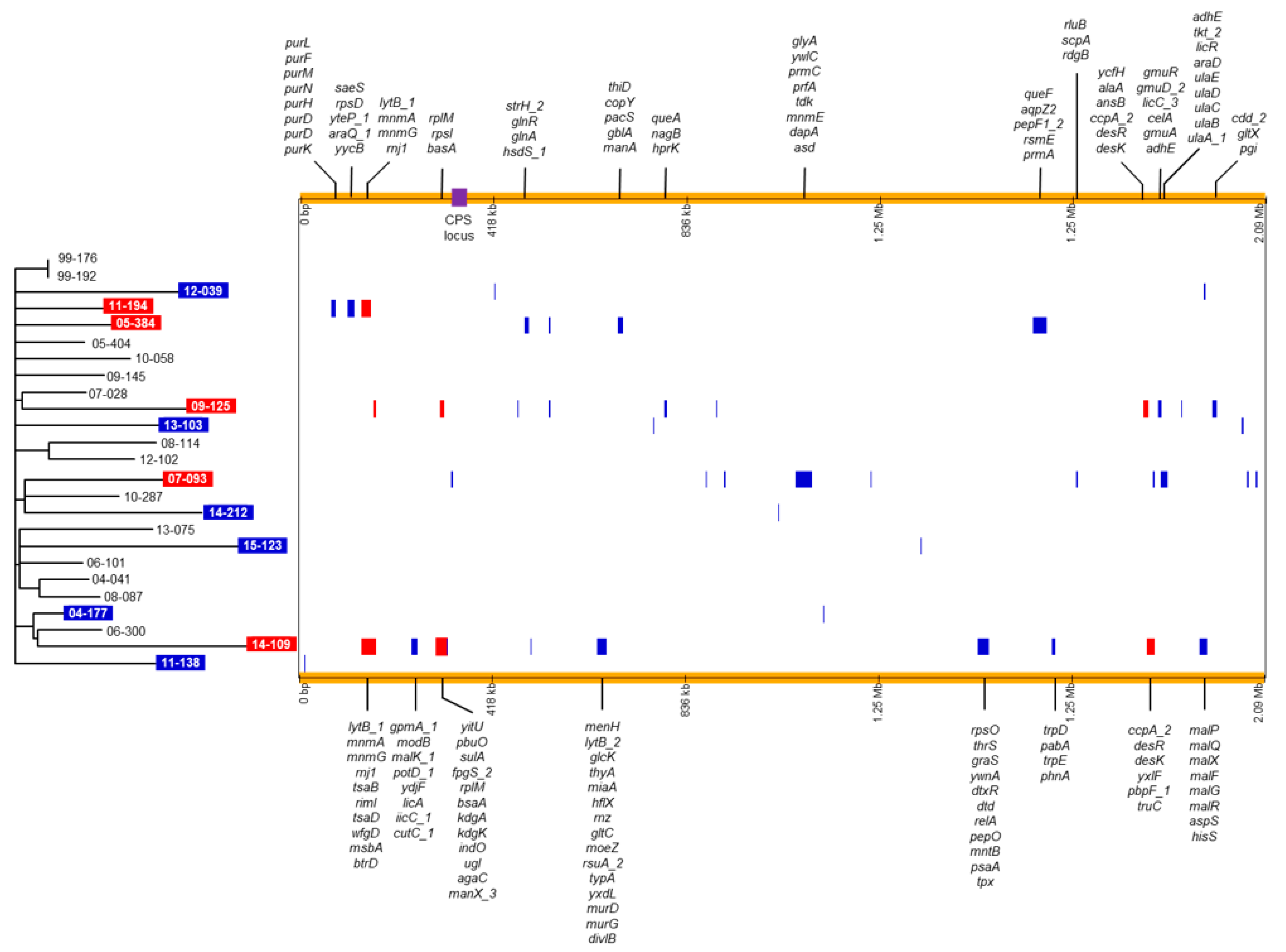 Microorganisms 09 00795 g003