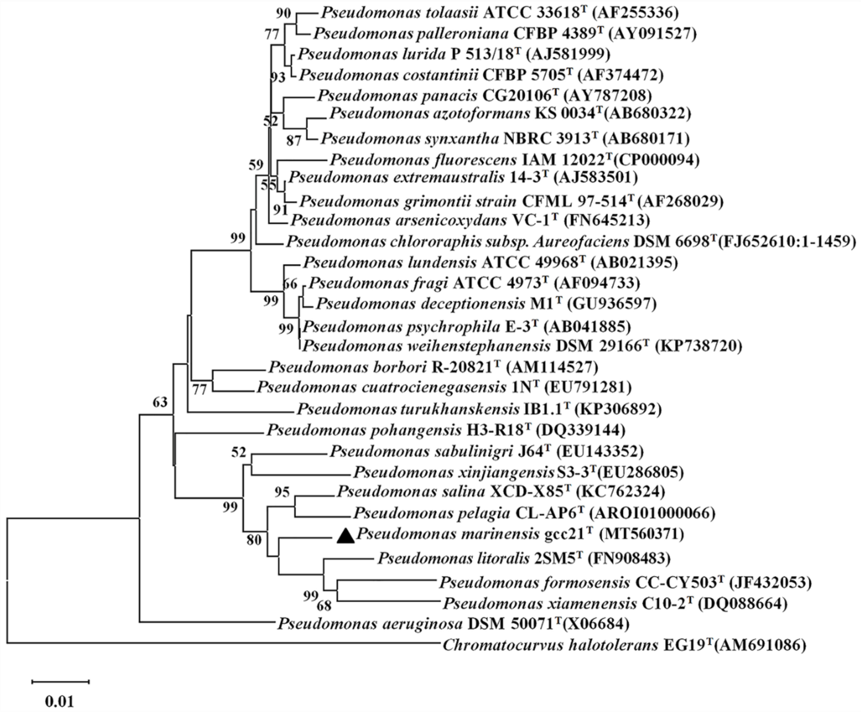 Microorganisms 09 00802 g001