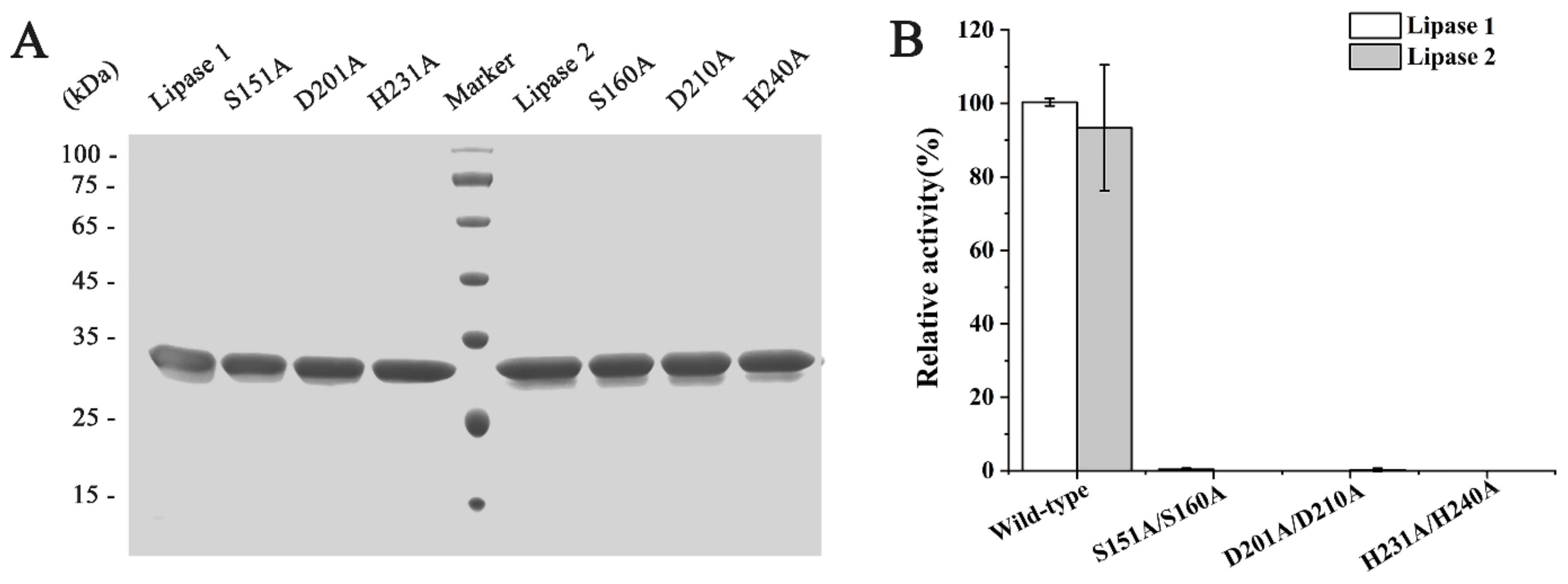 Microorganisms 09 00802 g007