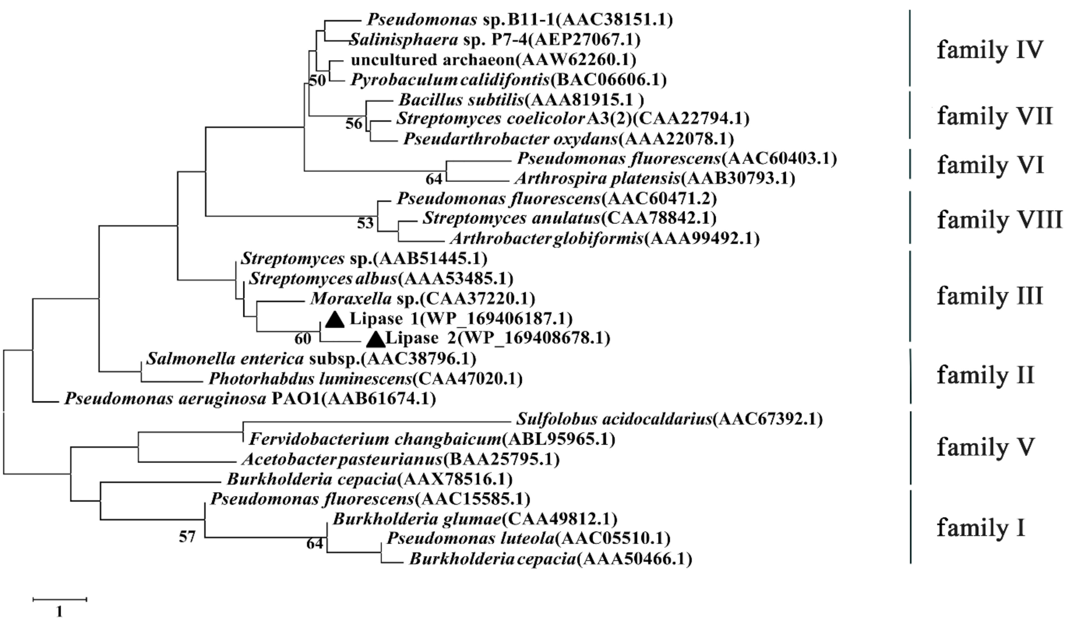 Microorganisms 09 00802 g008