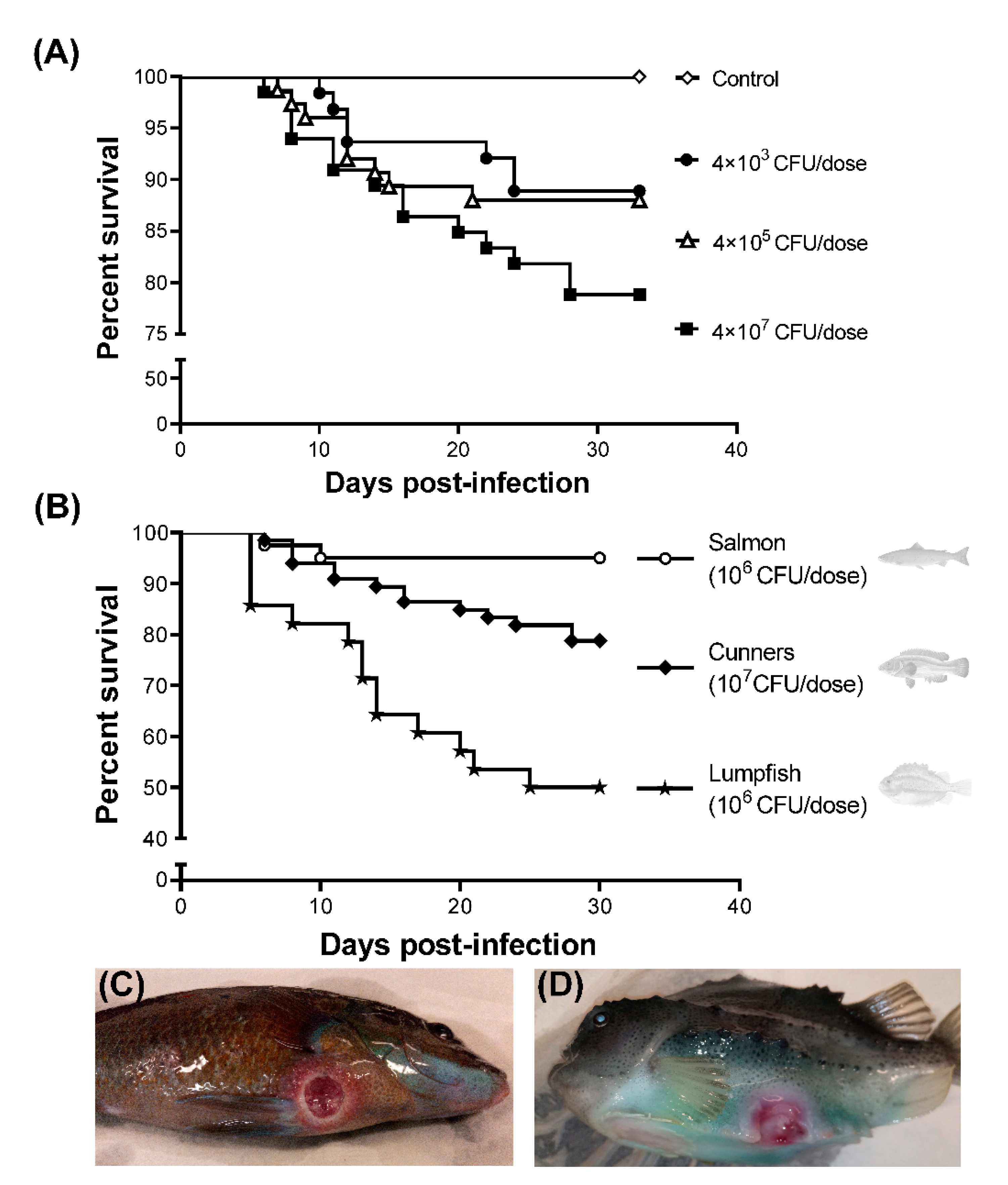 Microorganisms 09 00812 g002 Microorganisms 09 00812 g002