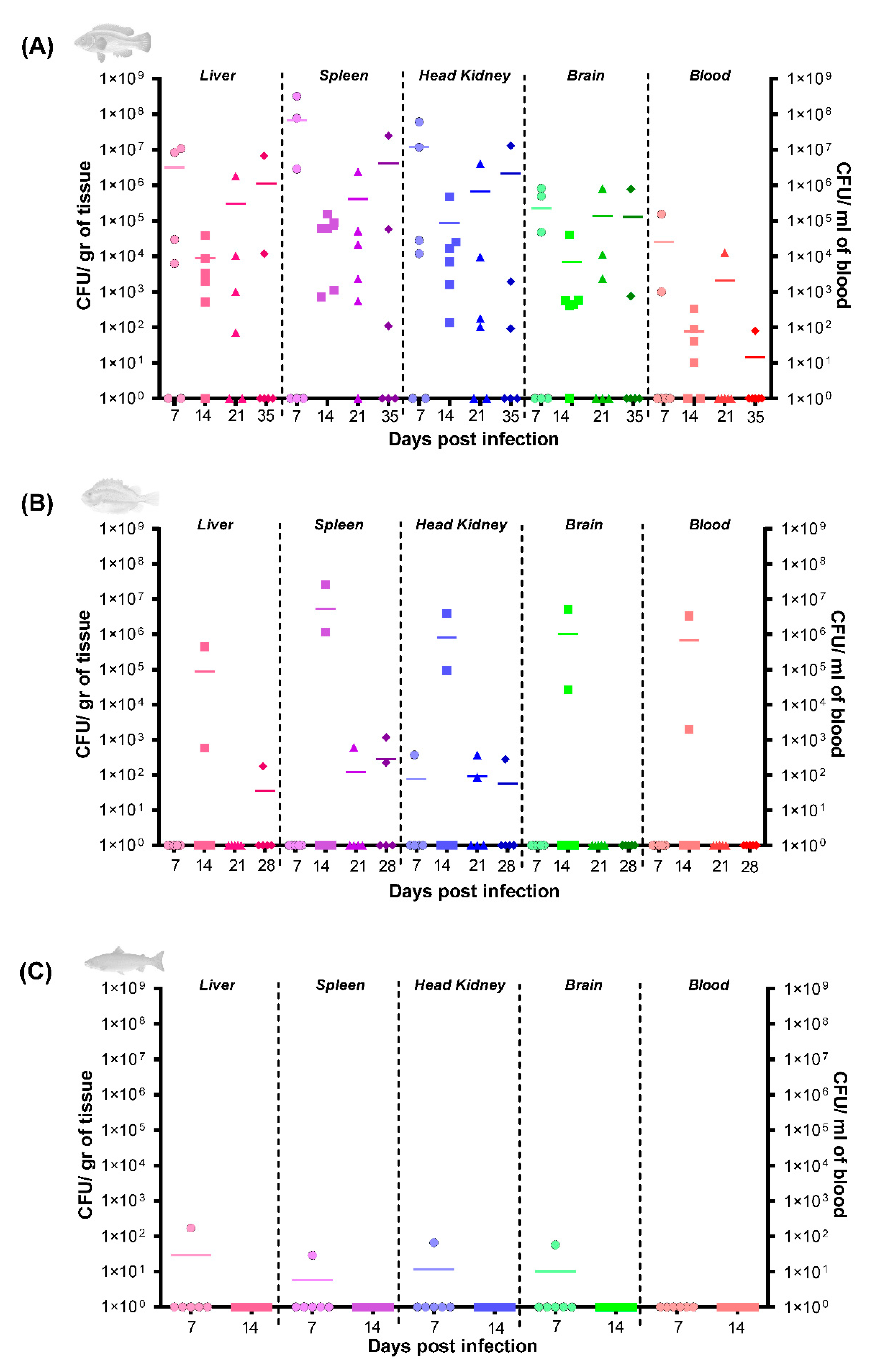 Microorganisms 09 00812 g003 Microorganisms 09 00812 g003