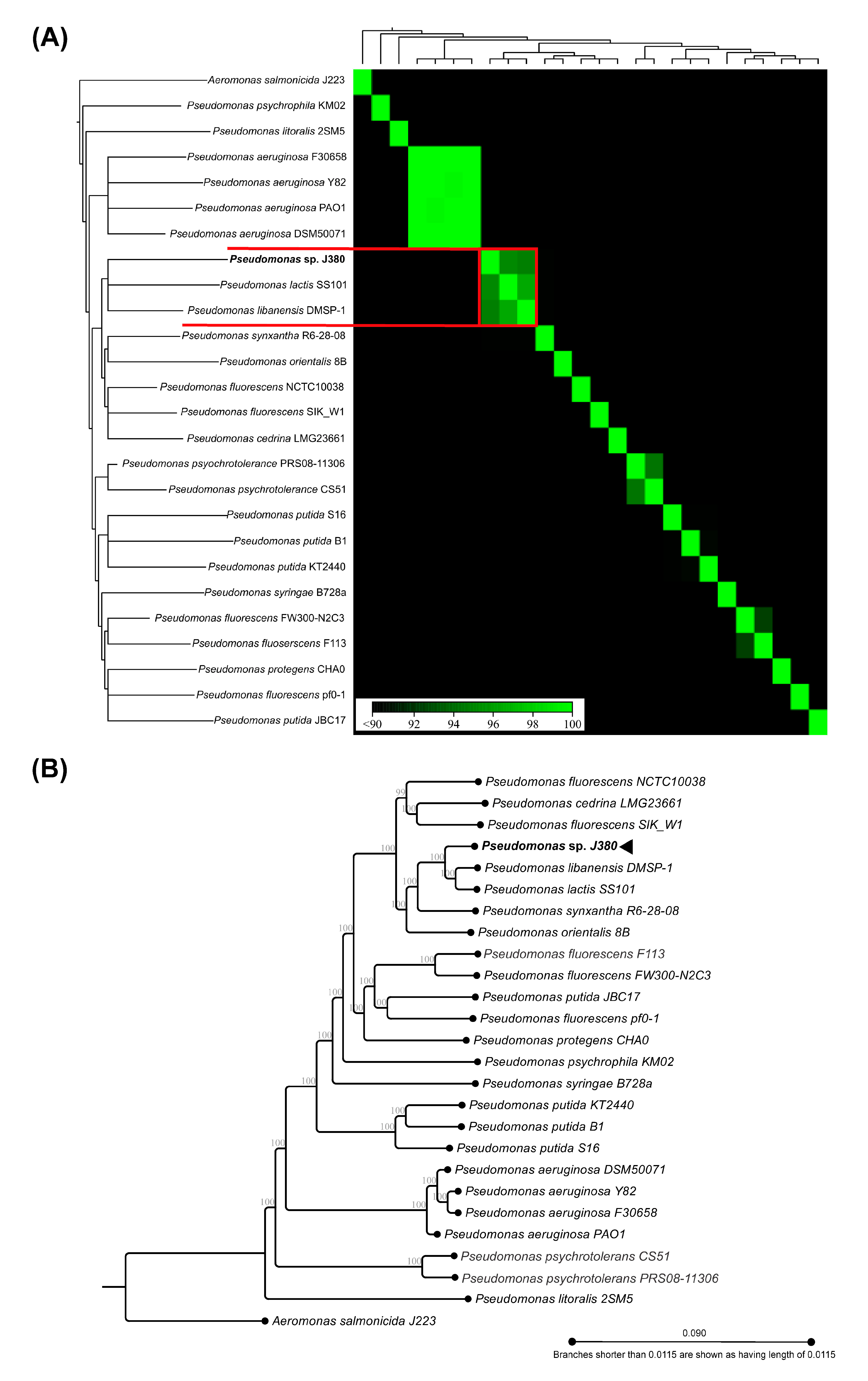 Microorganisms 09 00812 g005 Microorganisms 09 00812 g005