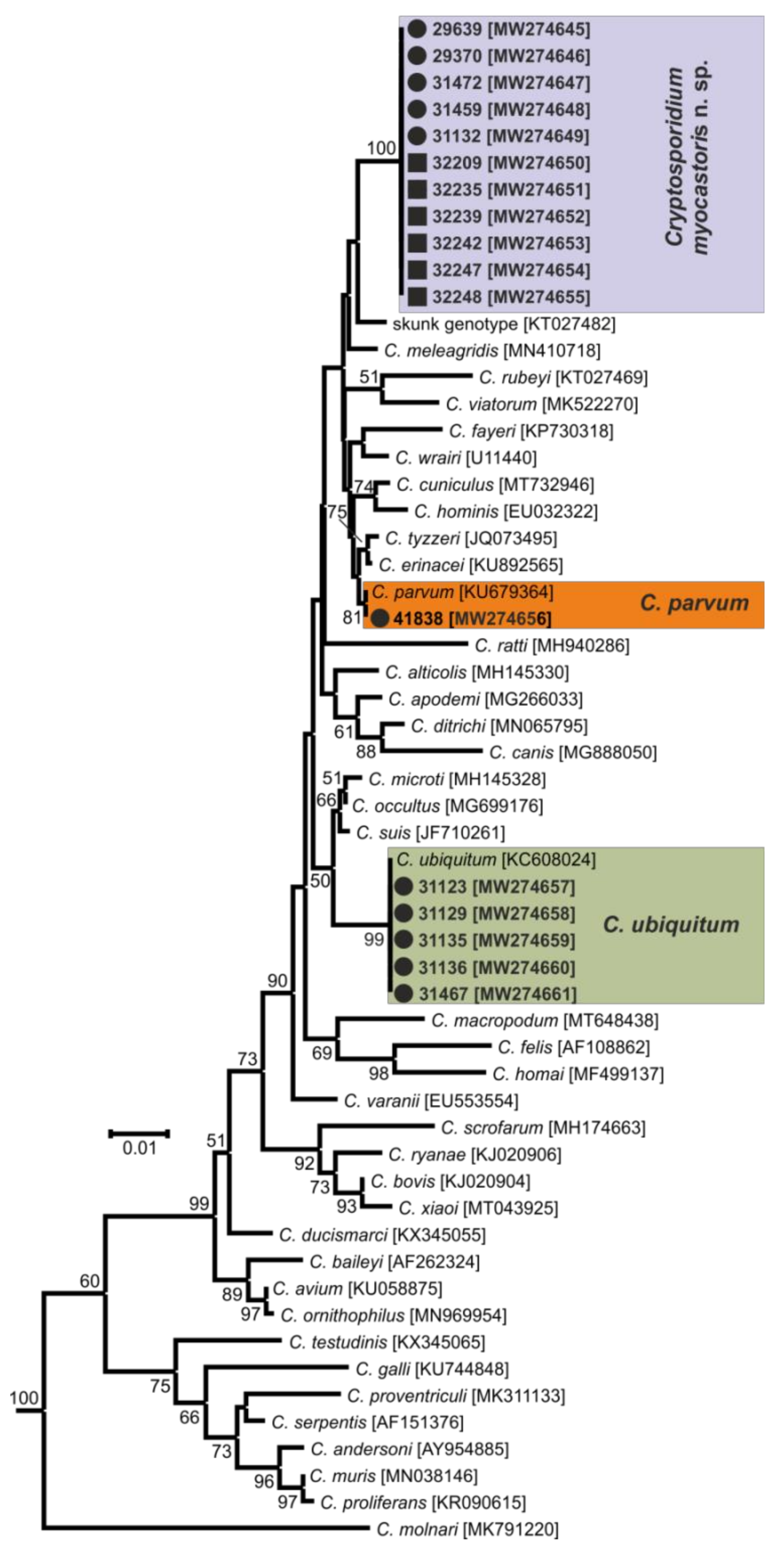 Microorganisms 09 00813 g002