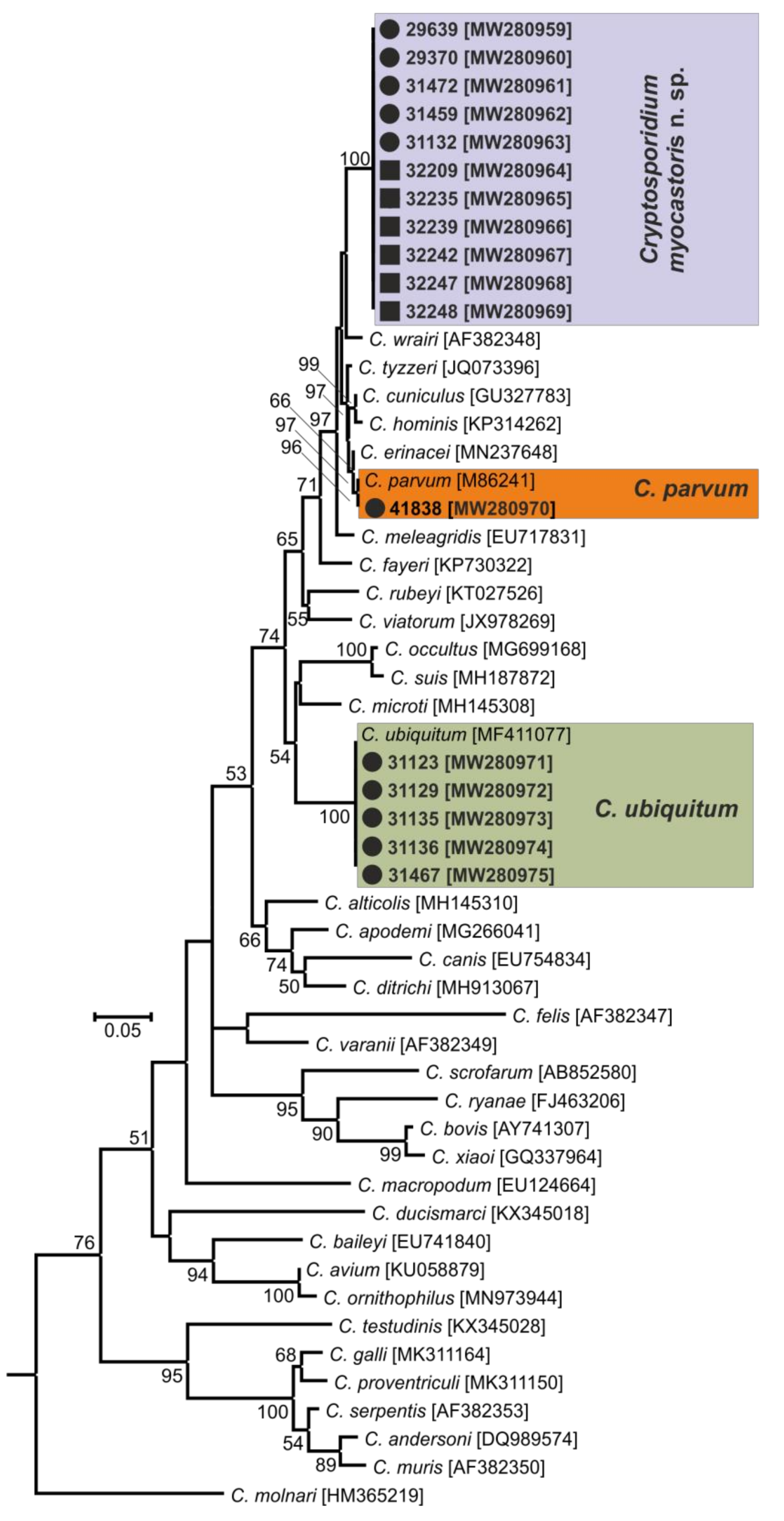 Microorganisms 09 00813 g003