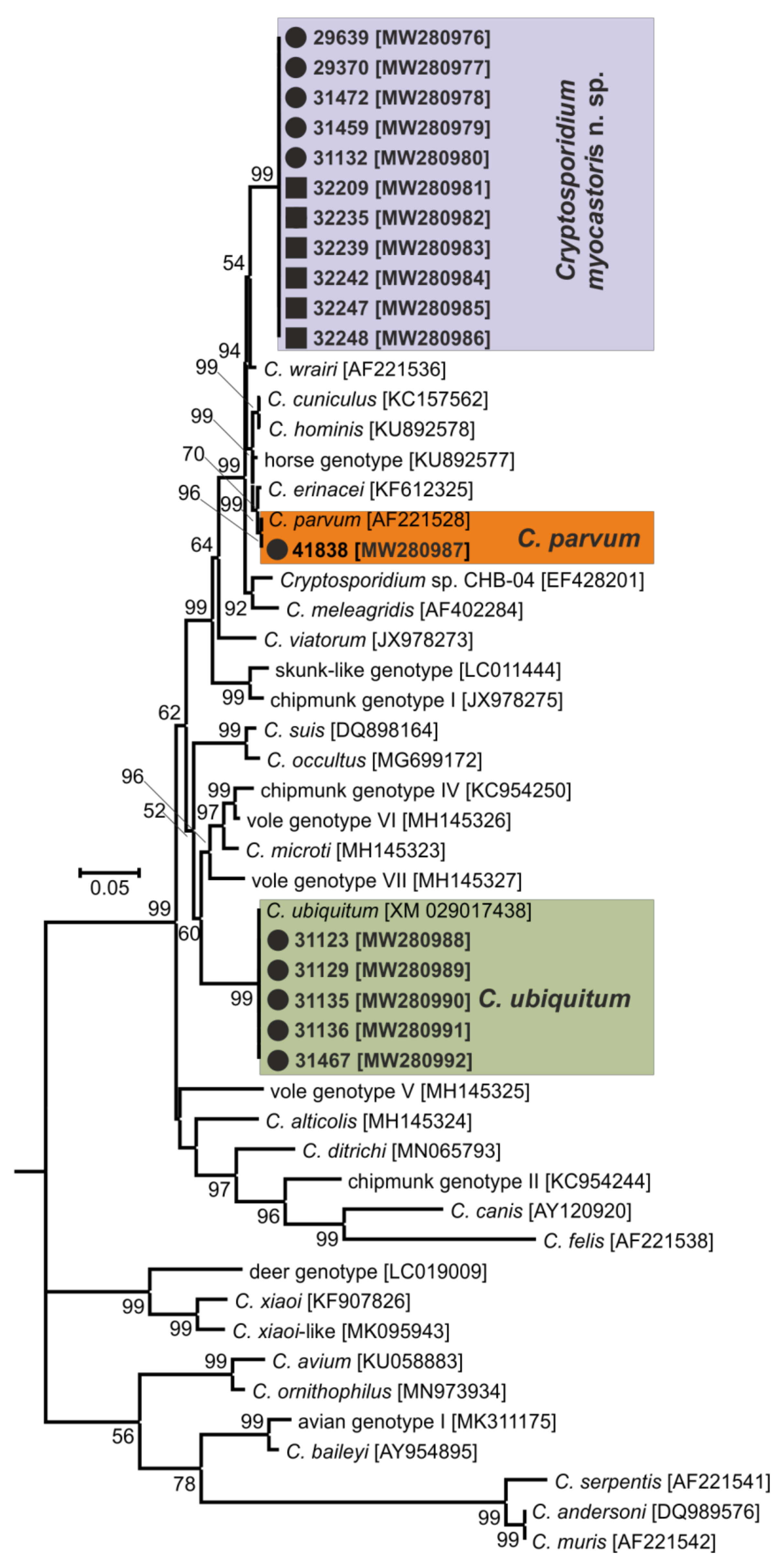 Microorganisms 09 00813 g004