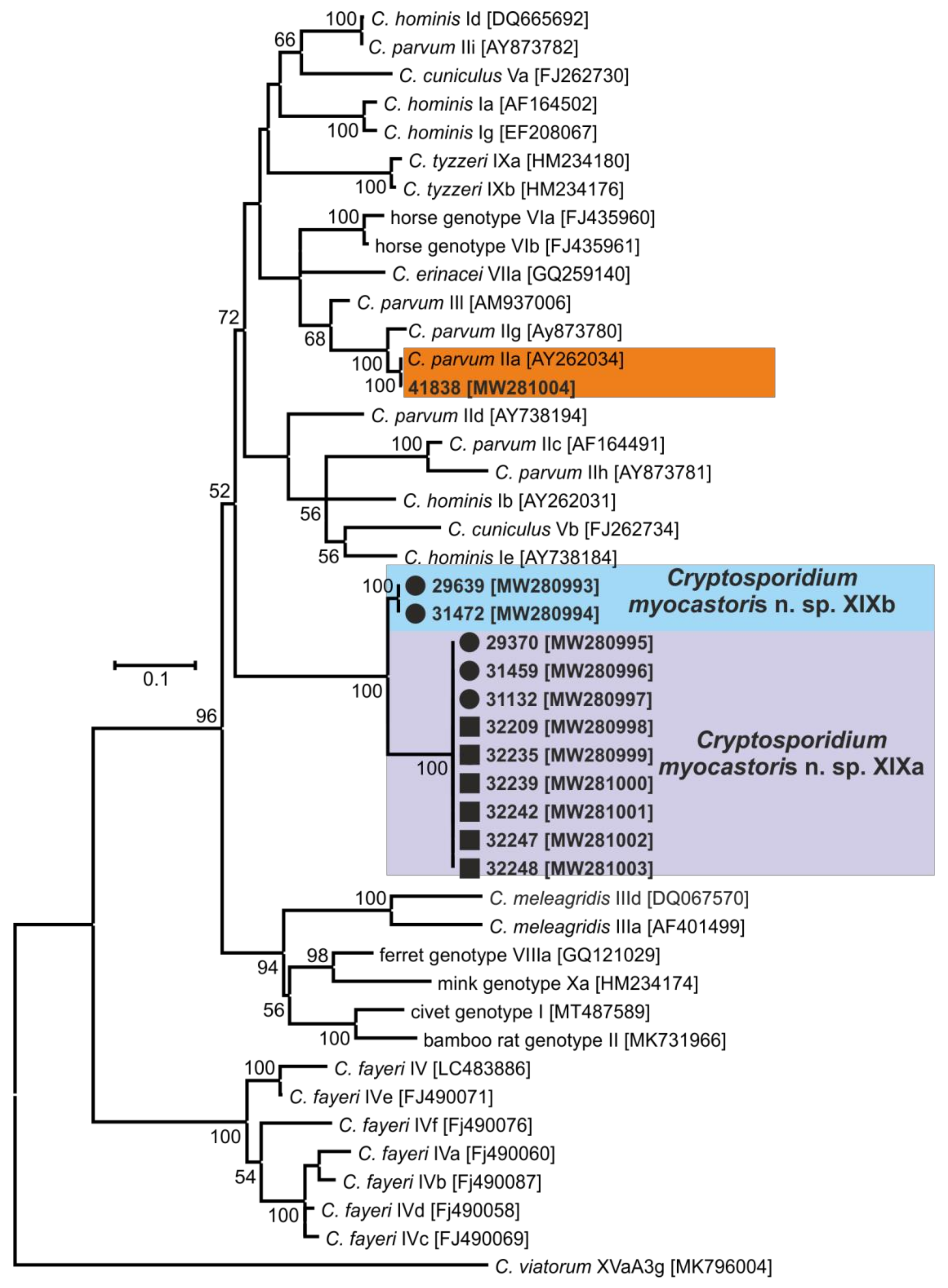 Microorganisms 09 00813 g005