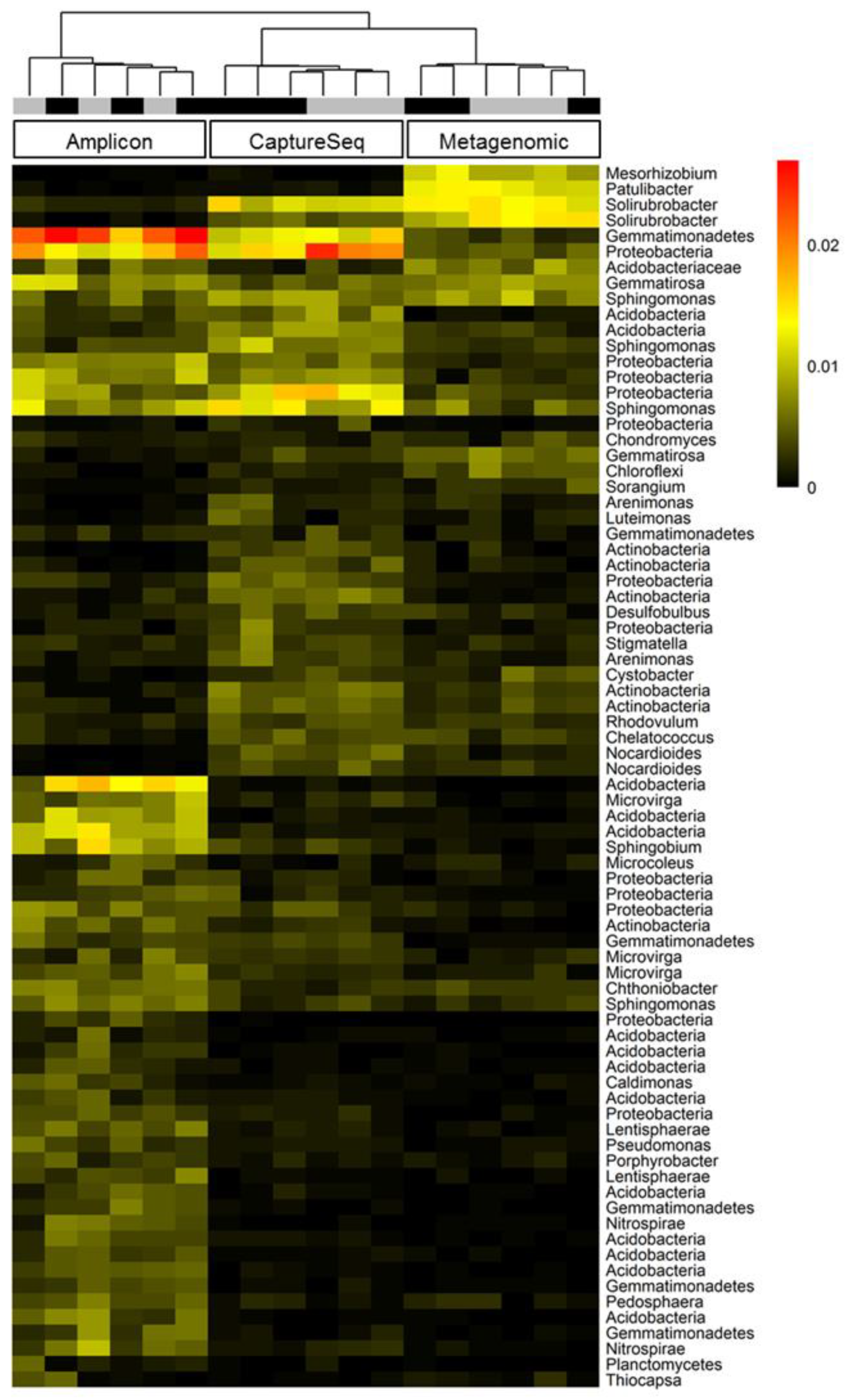 Microorganisms 09 00816 g006