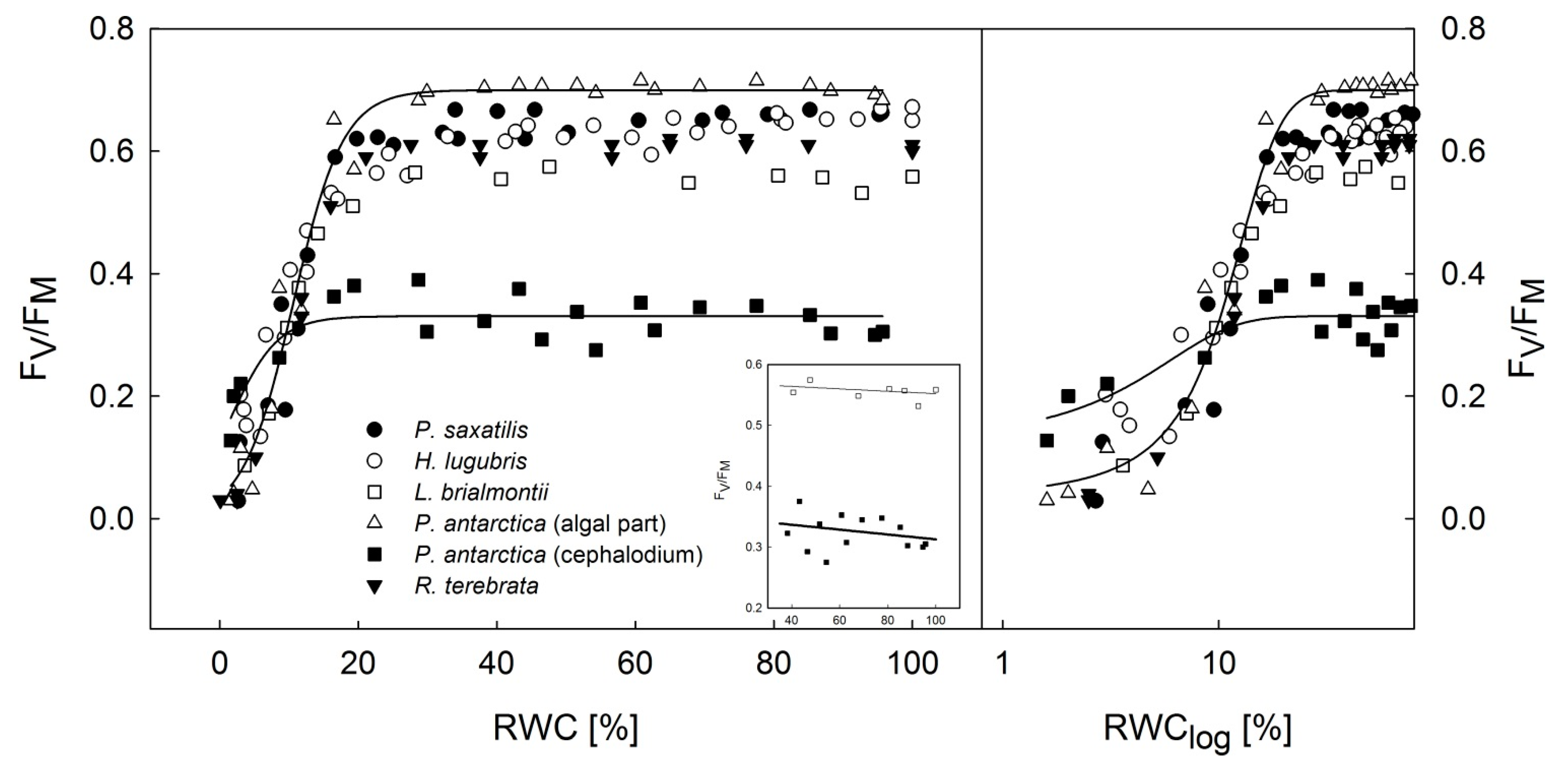 Microorganisms 09 00818 g004