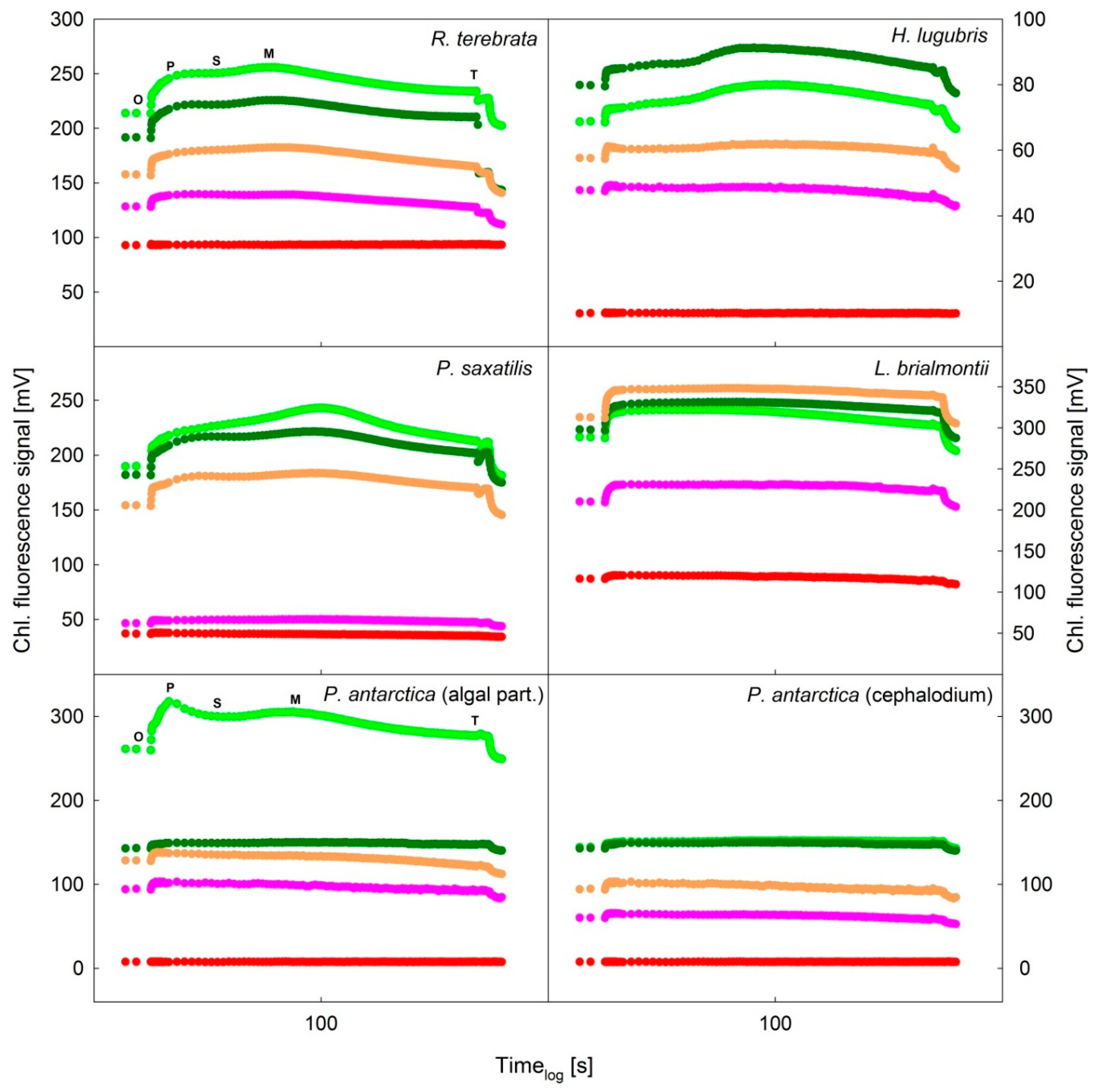 Microorganisms 09 00818 g007