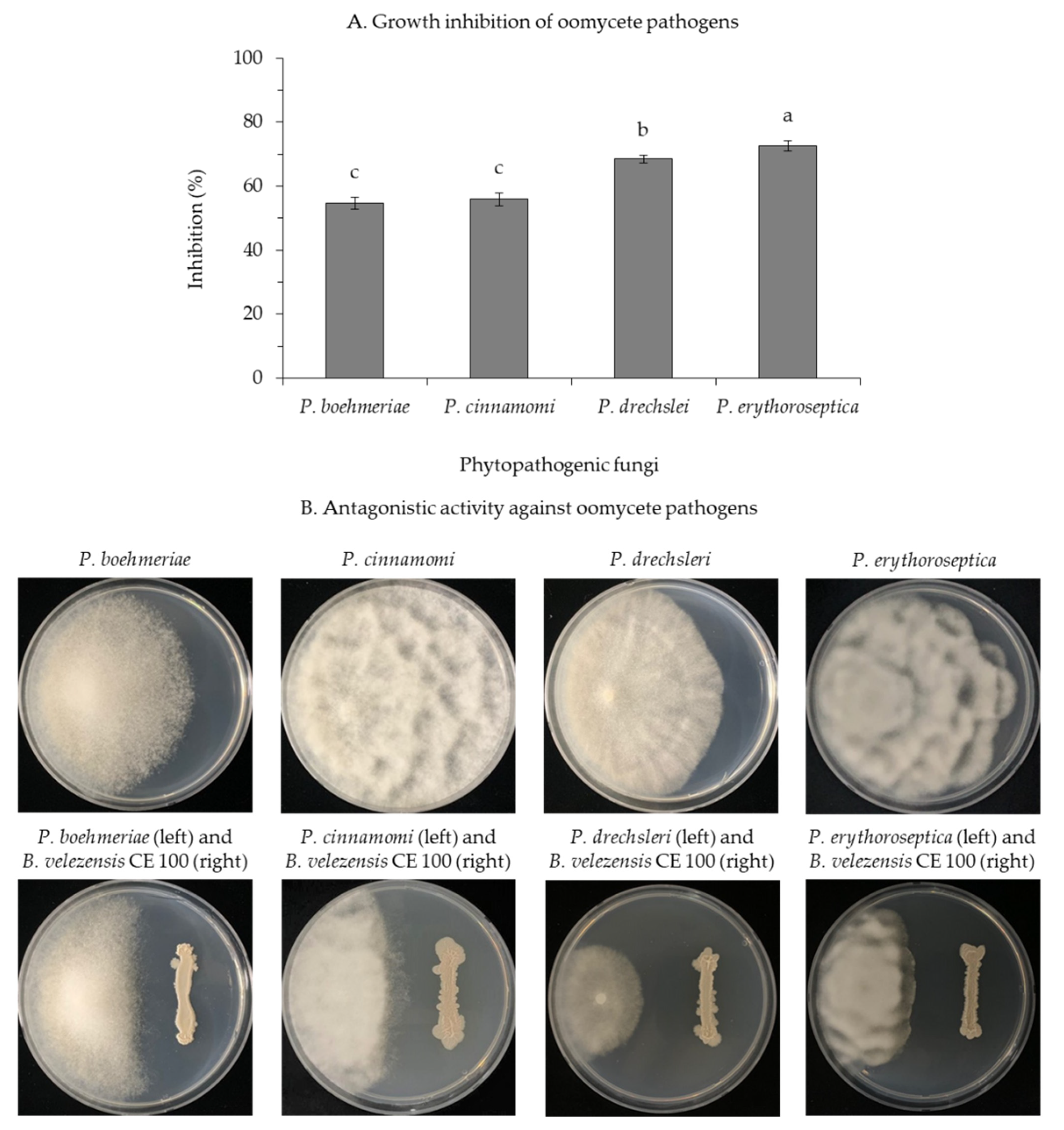 Microorganisms 09 00821 g004