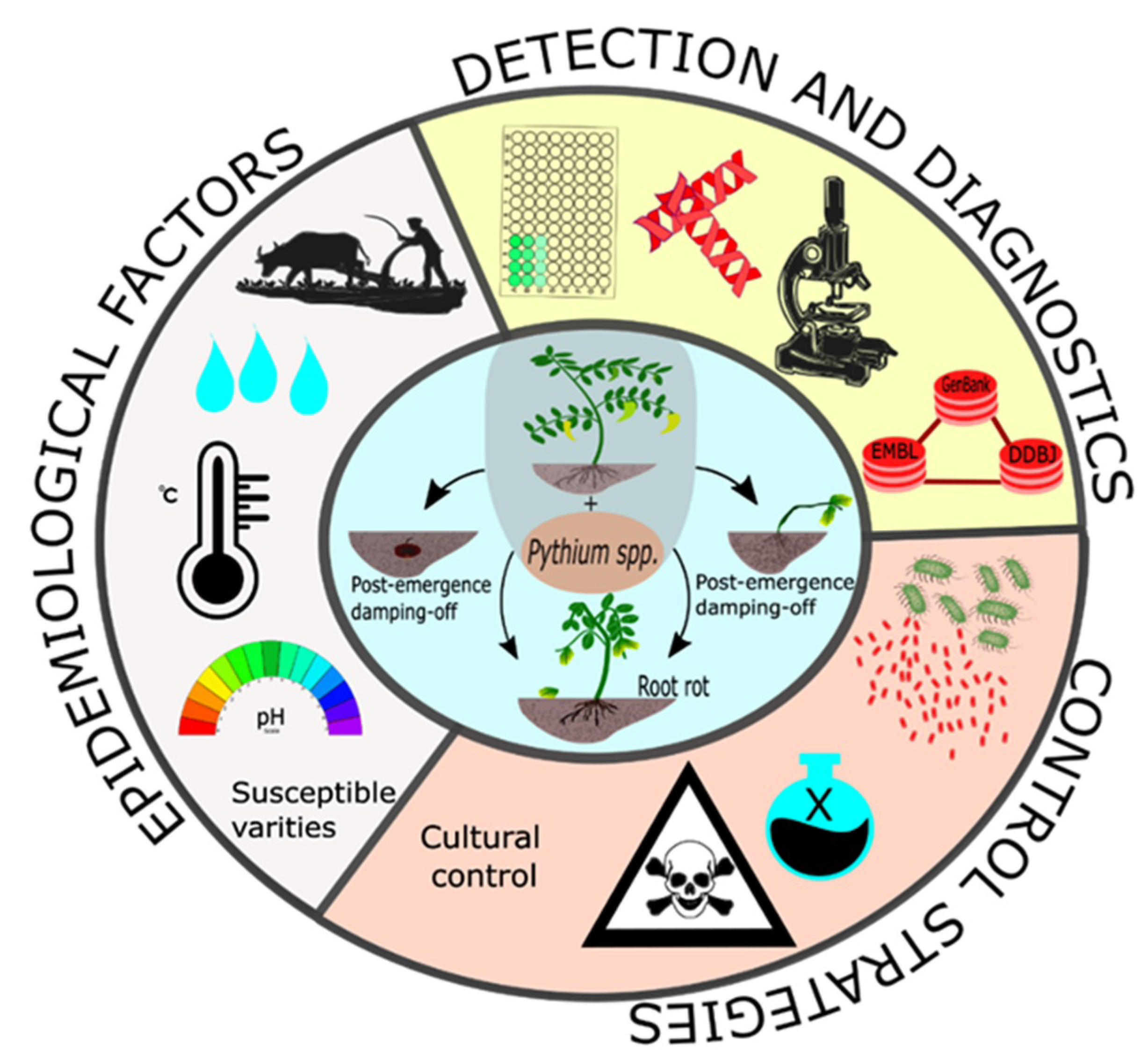 Microorganisms 09 00823 g001