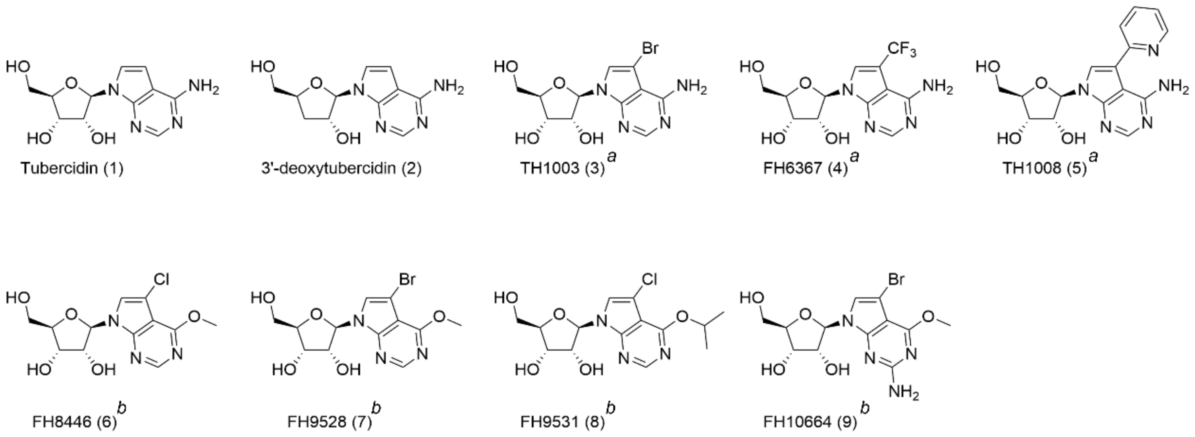 Microorganisms 09 00826 g001