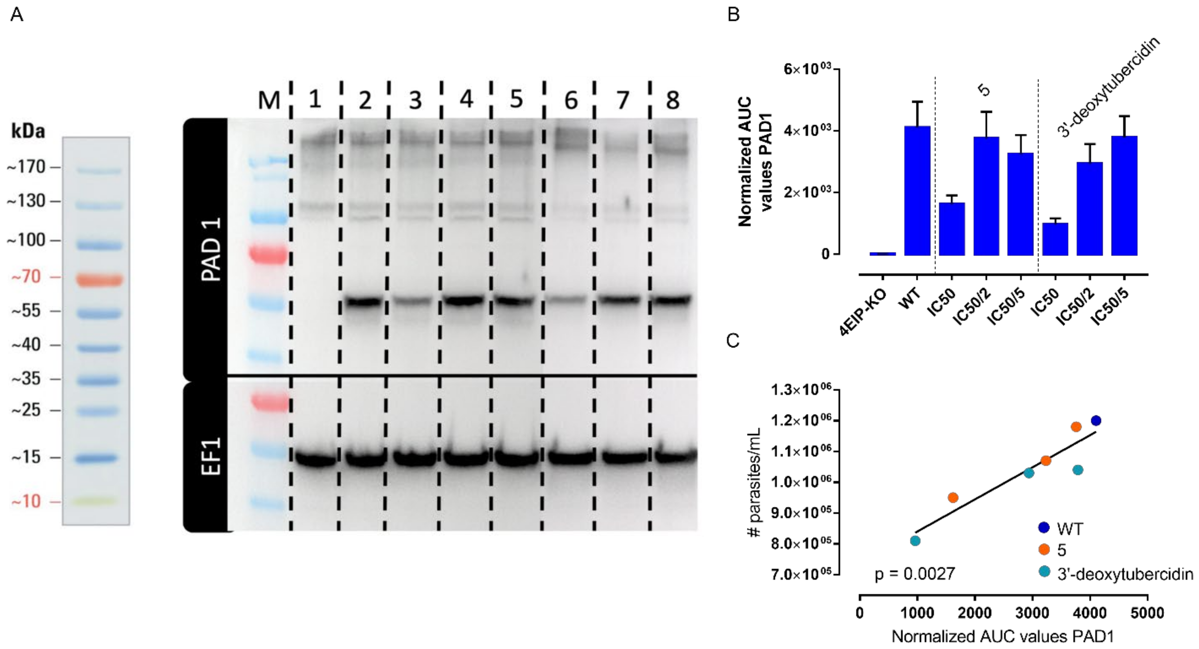 Microorganisms 09 00826 g007