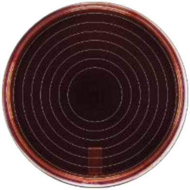 Microorganisms 09 00828 i008