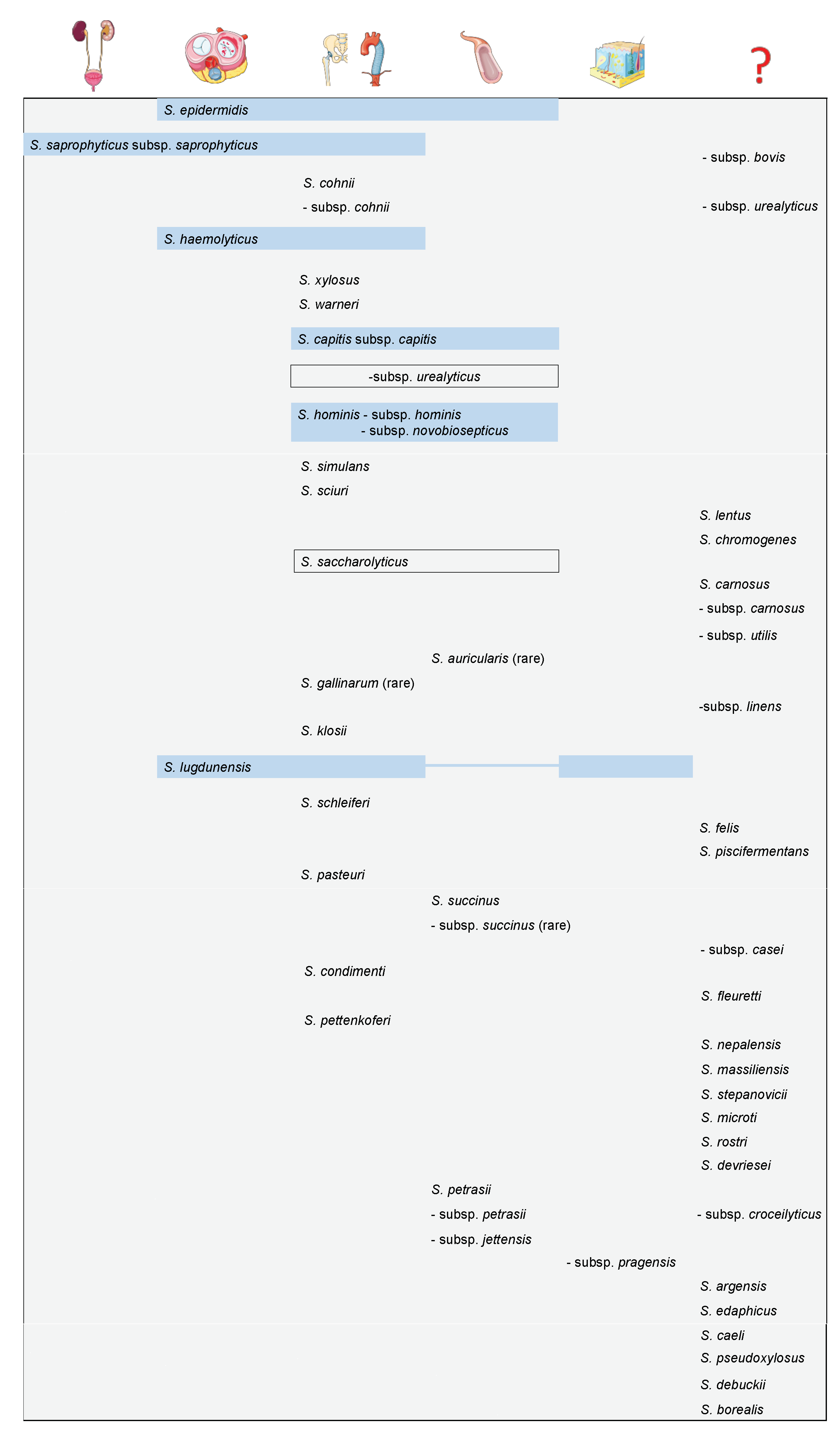 Microorganisms 09 00830 g001