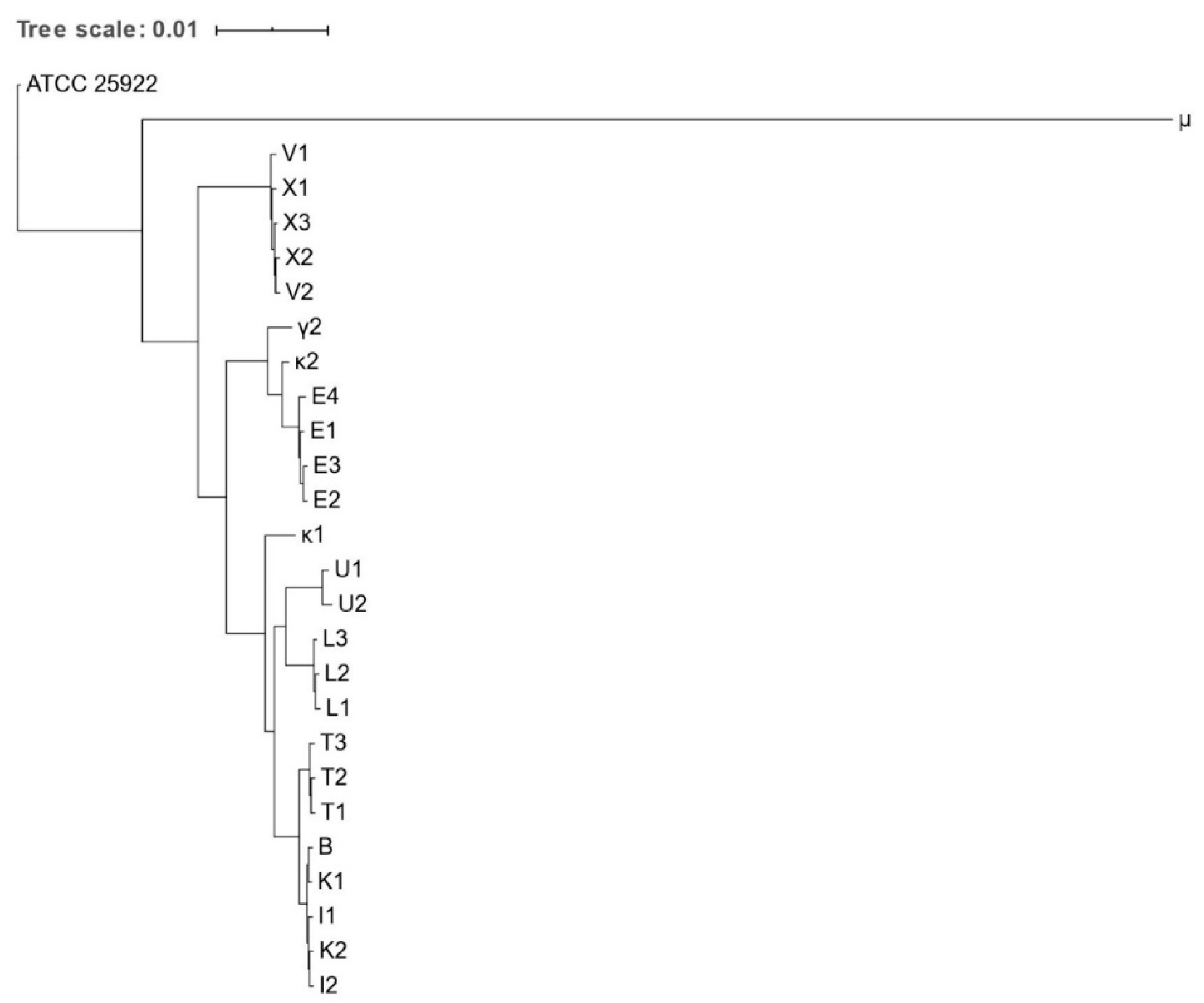 Microorganisms 09 00834 g001