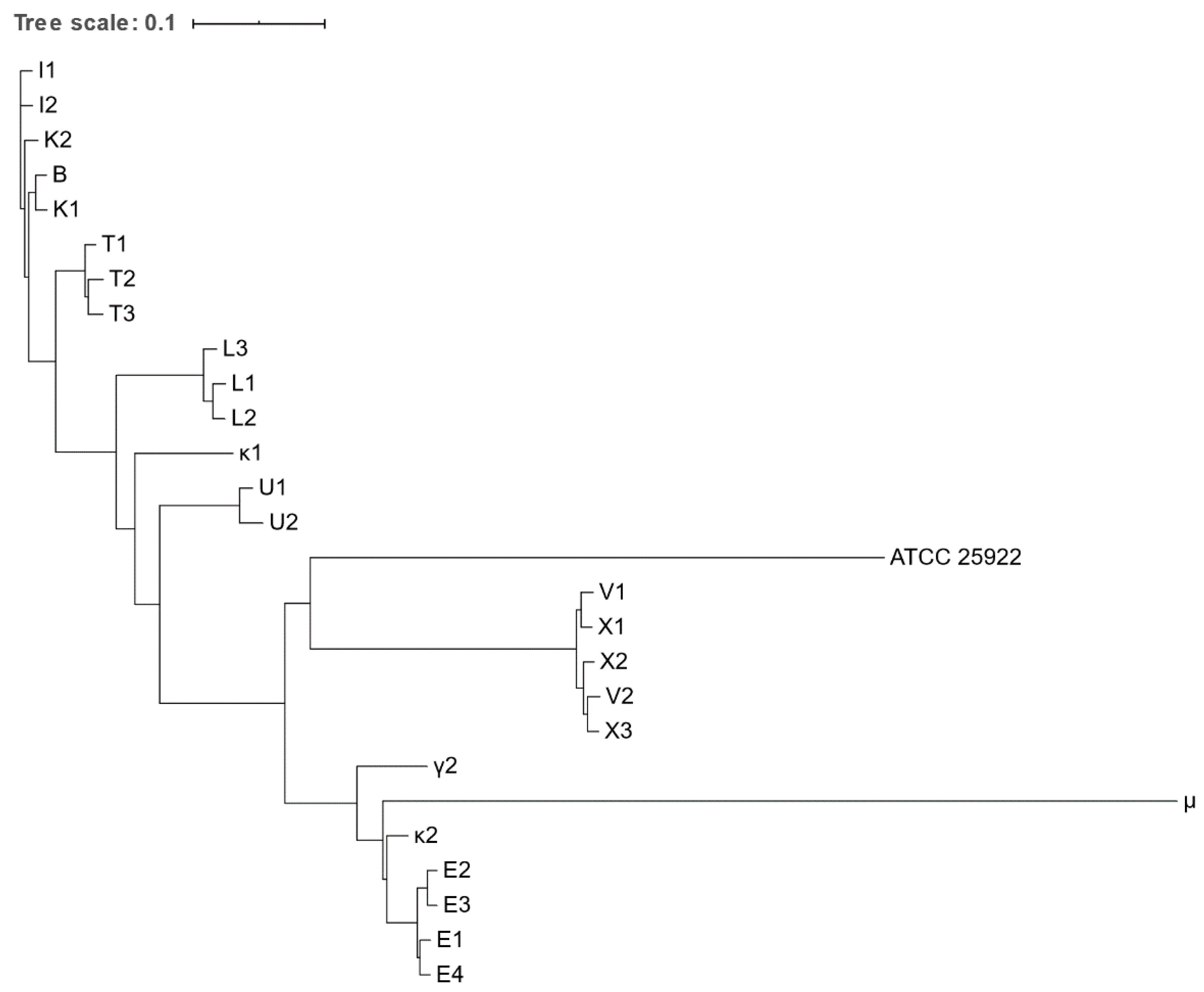 Microorganisms 09 00834 g002