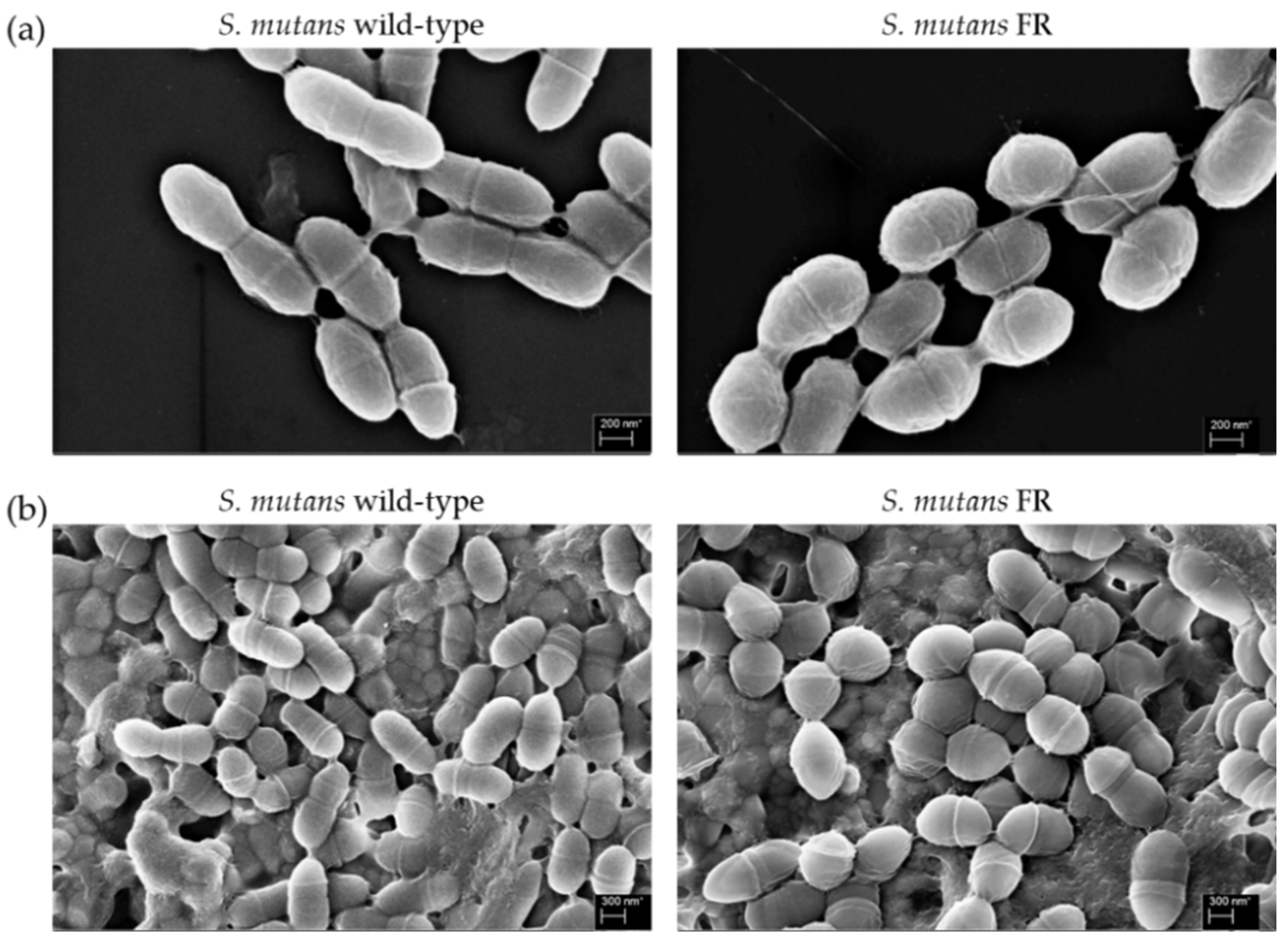 Microorganisms 09 00849 g003