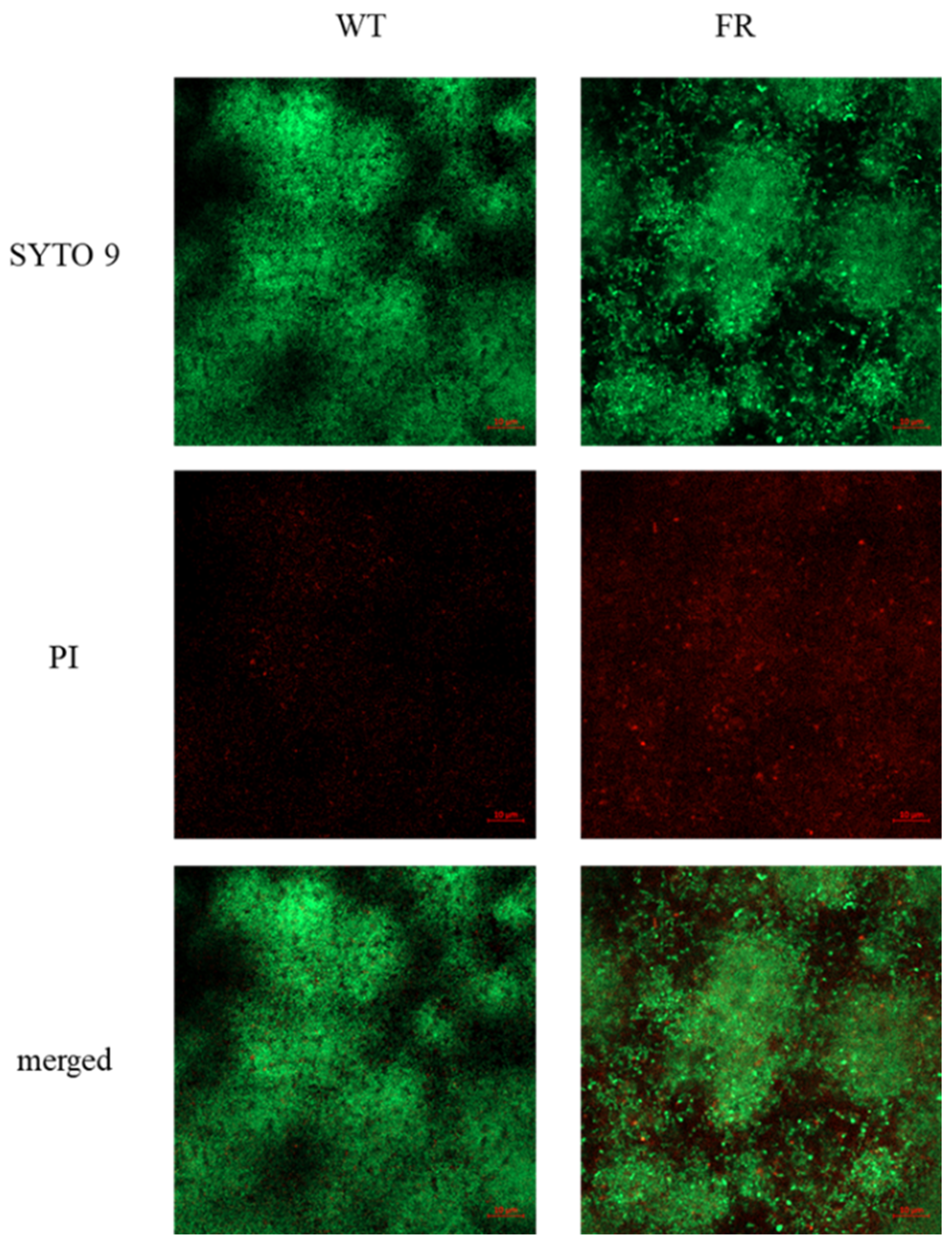 Microorganisms 09 00849 g004