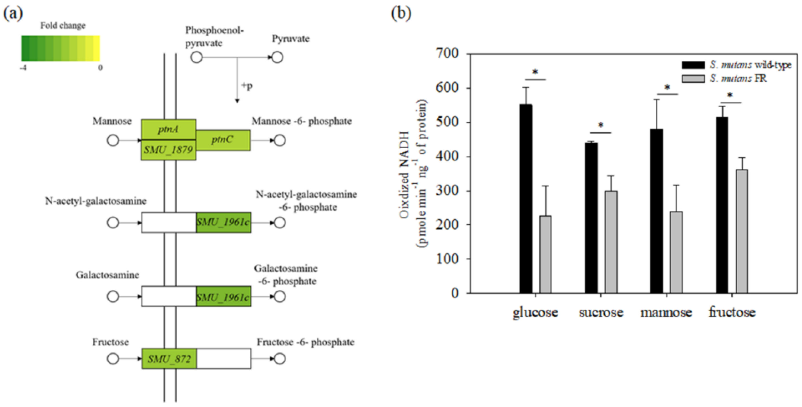 Microorganisms 09 00849 g006
