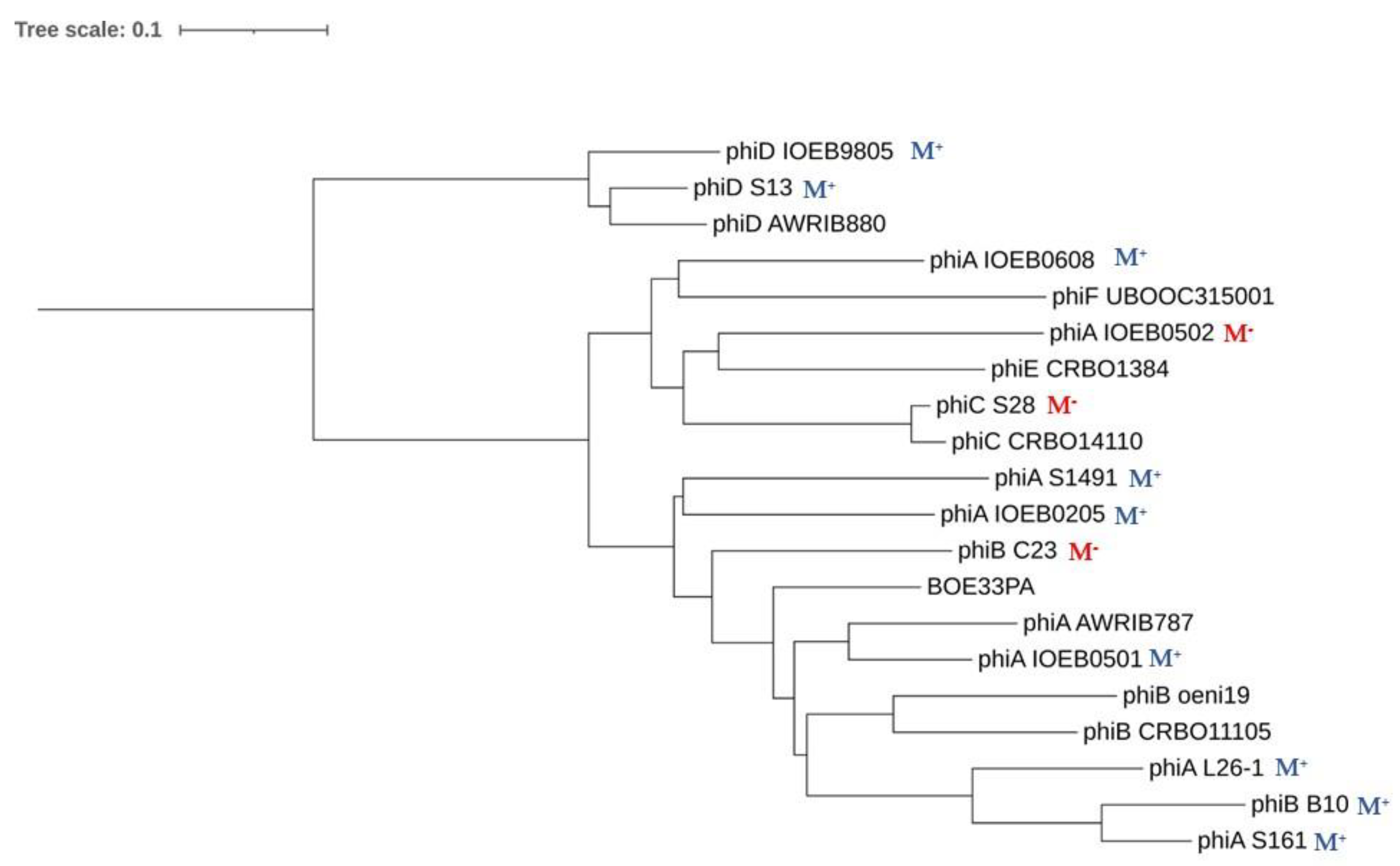 Microorganisms 09 00856 g006 Microorganisms 09 00856 g006